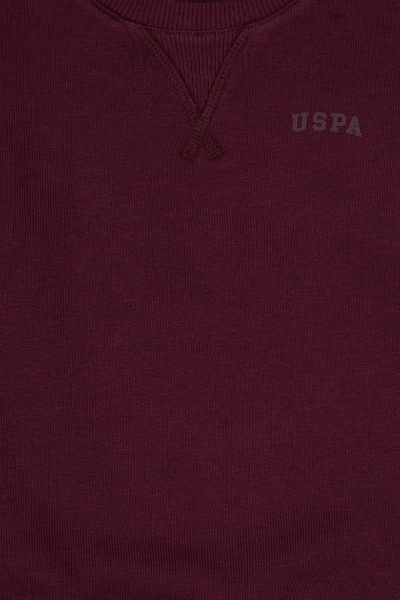 Erkek Çocuk Bordo Bisiklet Yaka Basic Sweatshirt - 50313829096