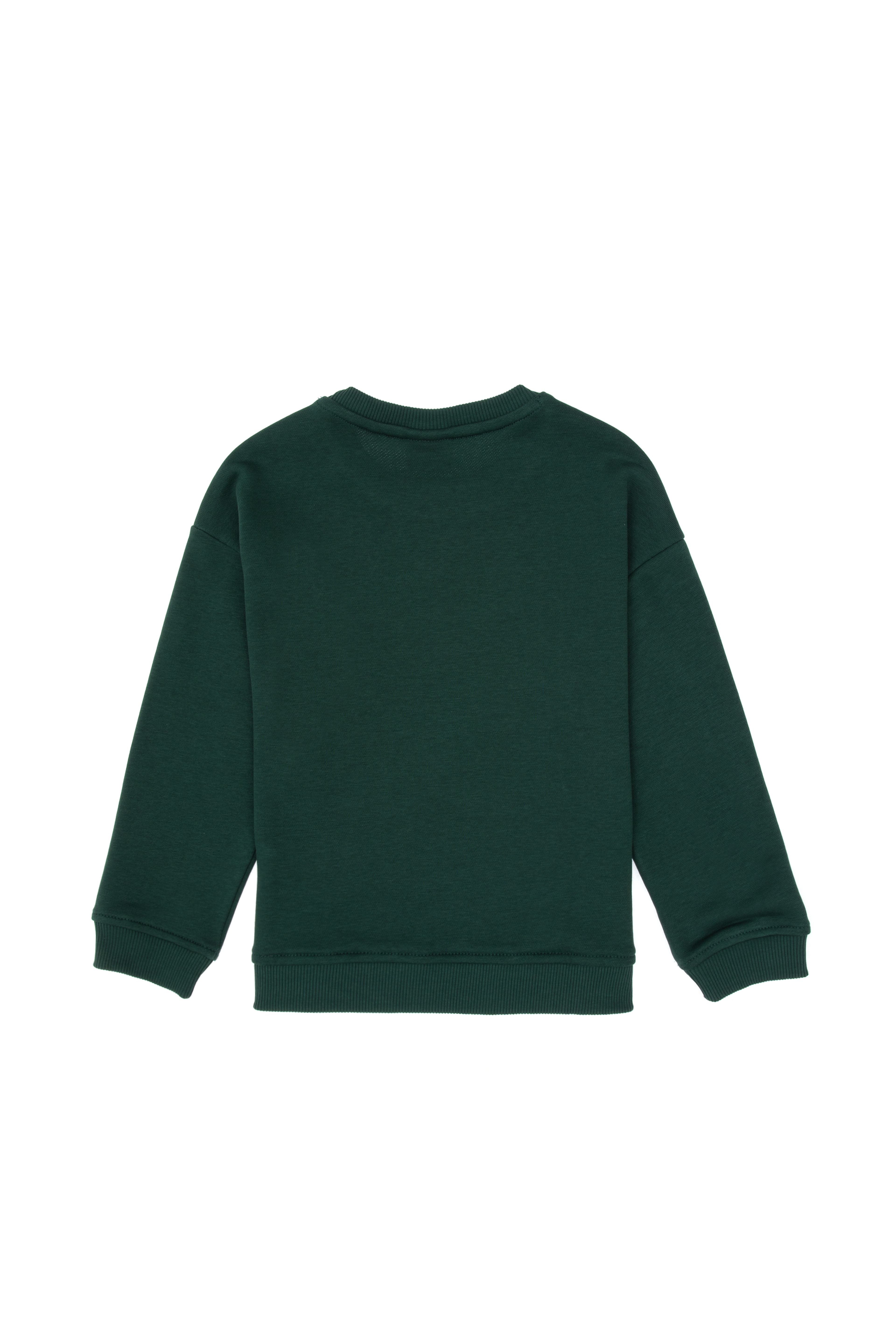 Erkek Çocuk Koyu Yeşil Bisiklet Yaka Basic Sweatshirt - Image 2
