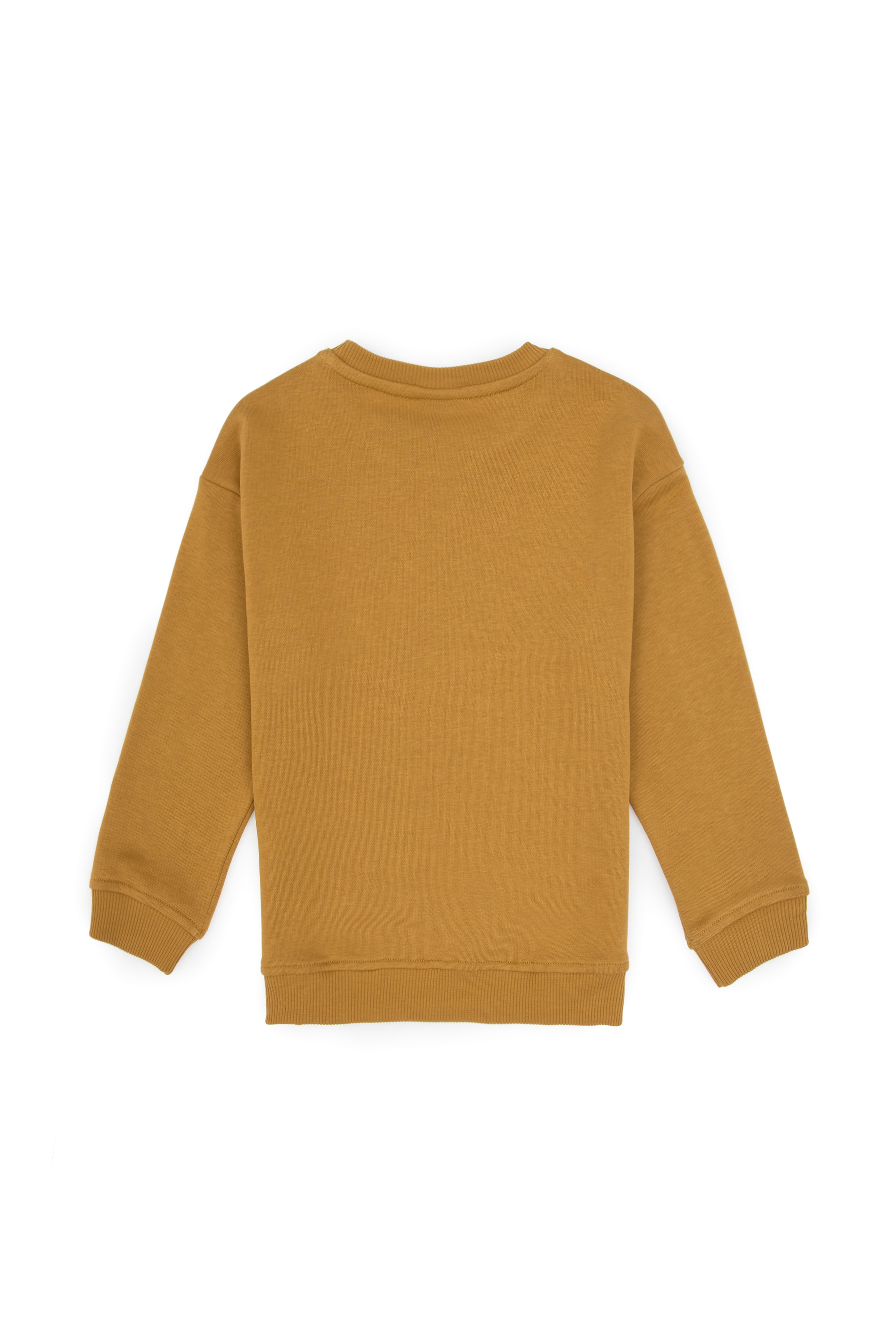Erkek Çocuk Hardal Bisiklet Yaka Basic Sweatshirt - Image 2