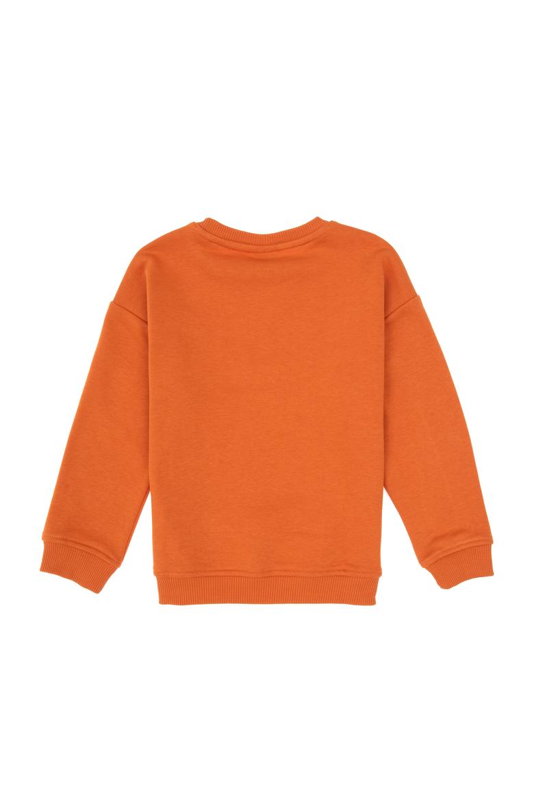 Erkek Çocuk Bakır Bisiklet Yaka Basic Sweatshirt - 50313829105
