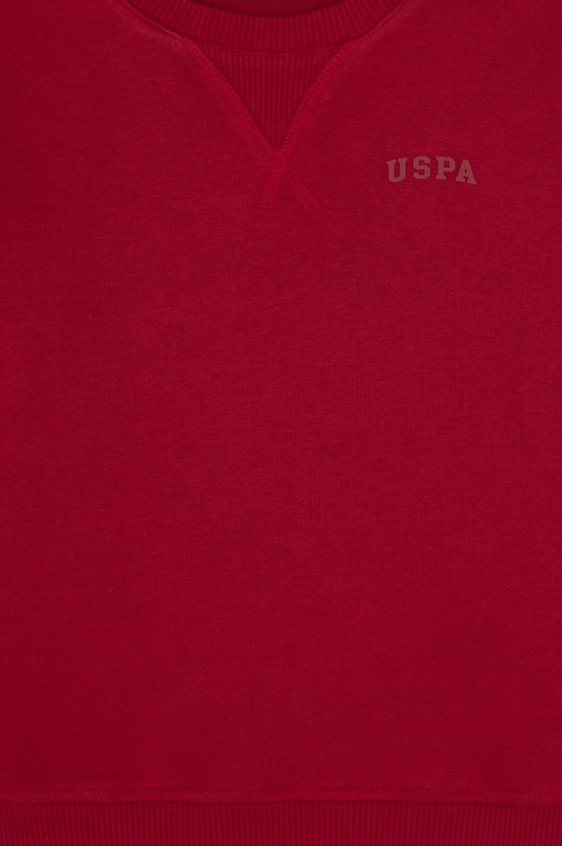 Erkek Çocuk Koyu Frambuaz Bisiklet Yaka Basic Sweatshirt