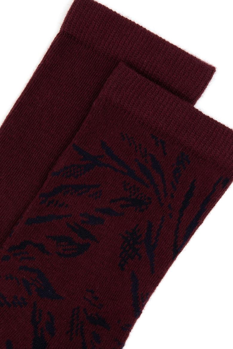 Kadın 2'li Soket Çorap - 50316238002