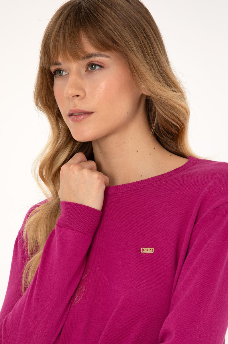 Kadın Pembe Bisiklet Yaka Basic Kazak