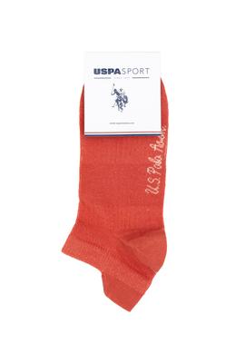 Kadın 3'lü Patik Çorap - 50314859003