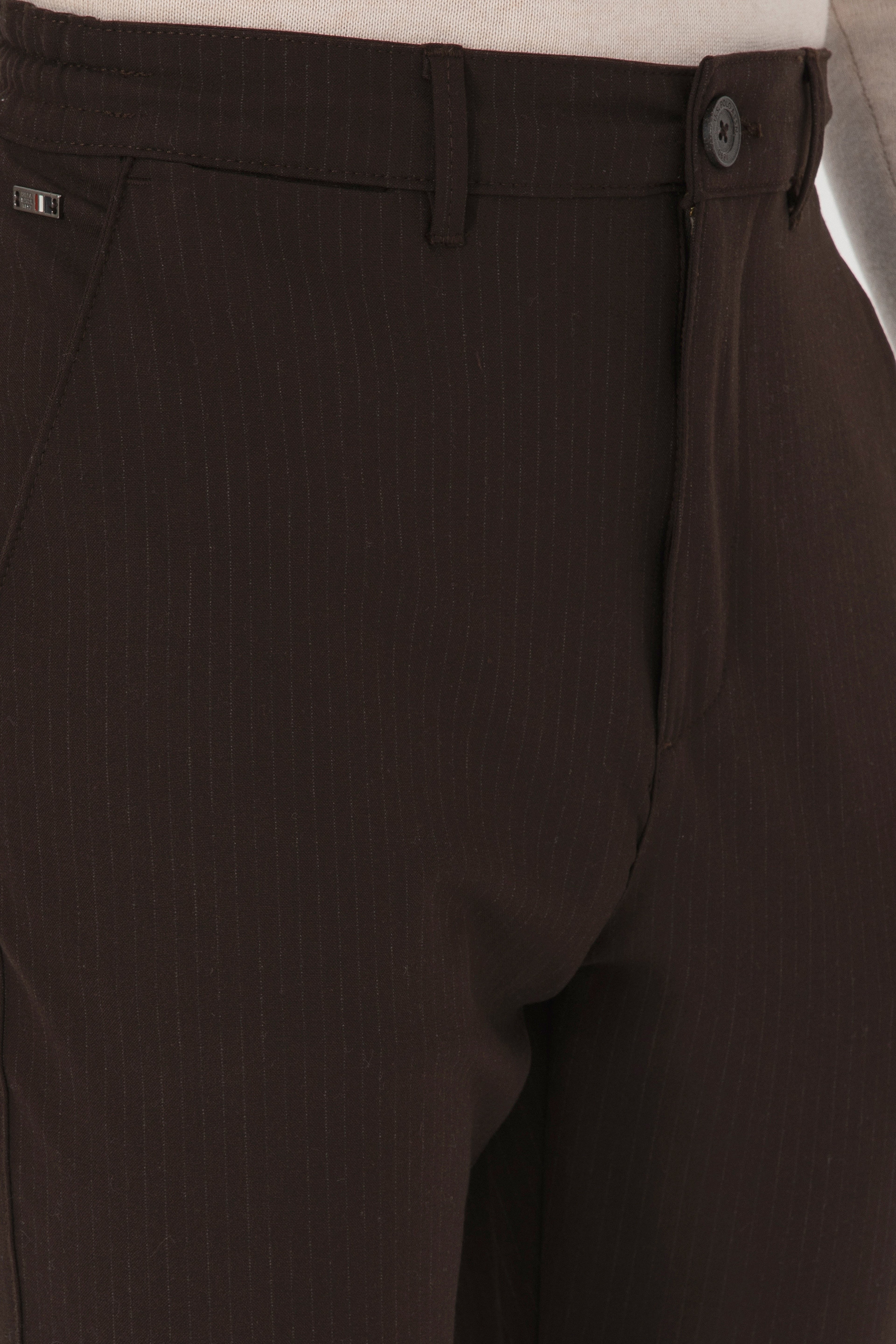 Erkek Kahverengi Carrot Fit Çizgili Kanvas / Chino Pantolon - Image 5