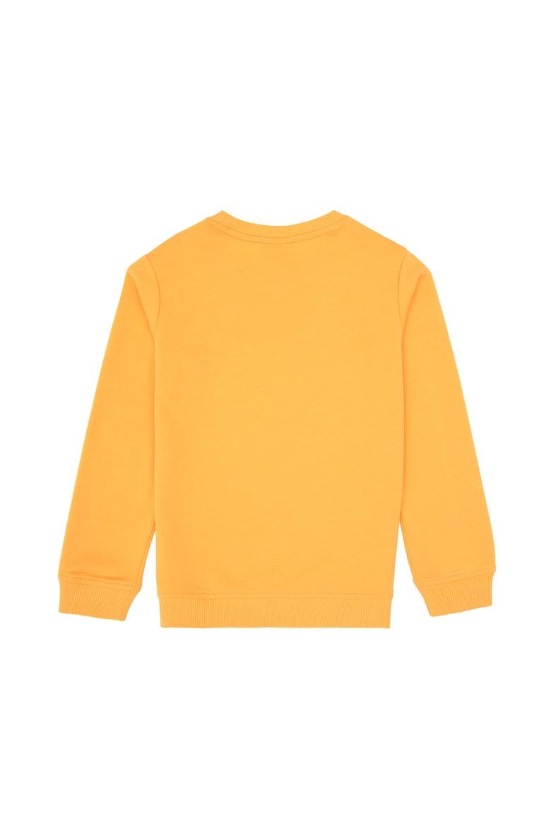 Erkek Çocuk Mango Bisiklet Yaka Sweatshirt - 50313900097