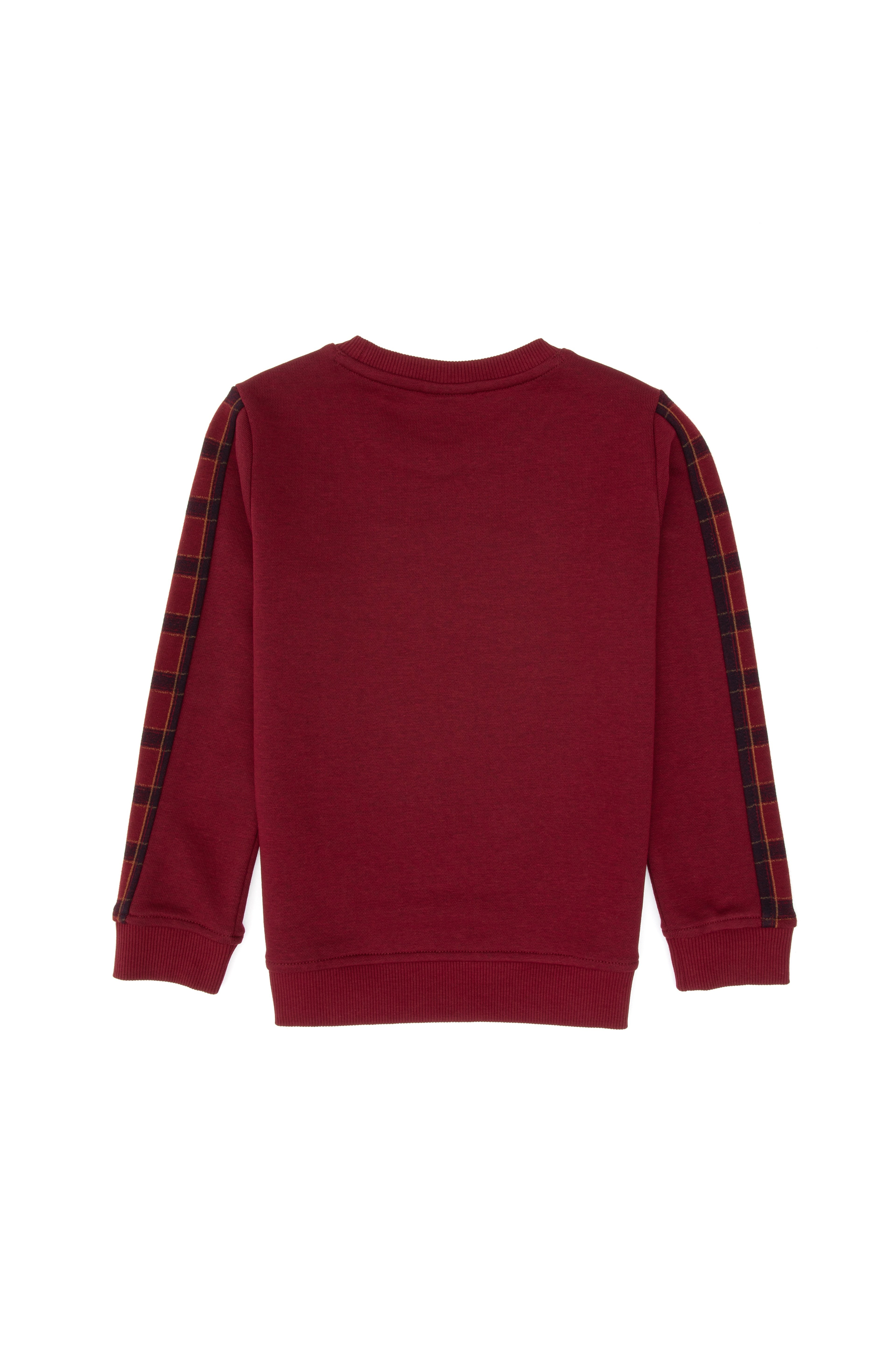 Erkek Çocuk Bordo Bisiklet Yaka Sweatshirt - Image 4