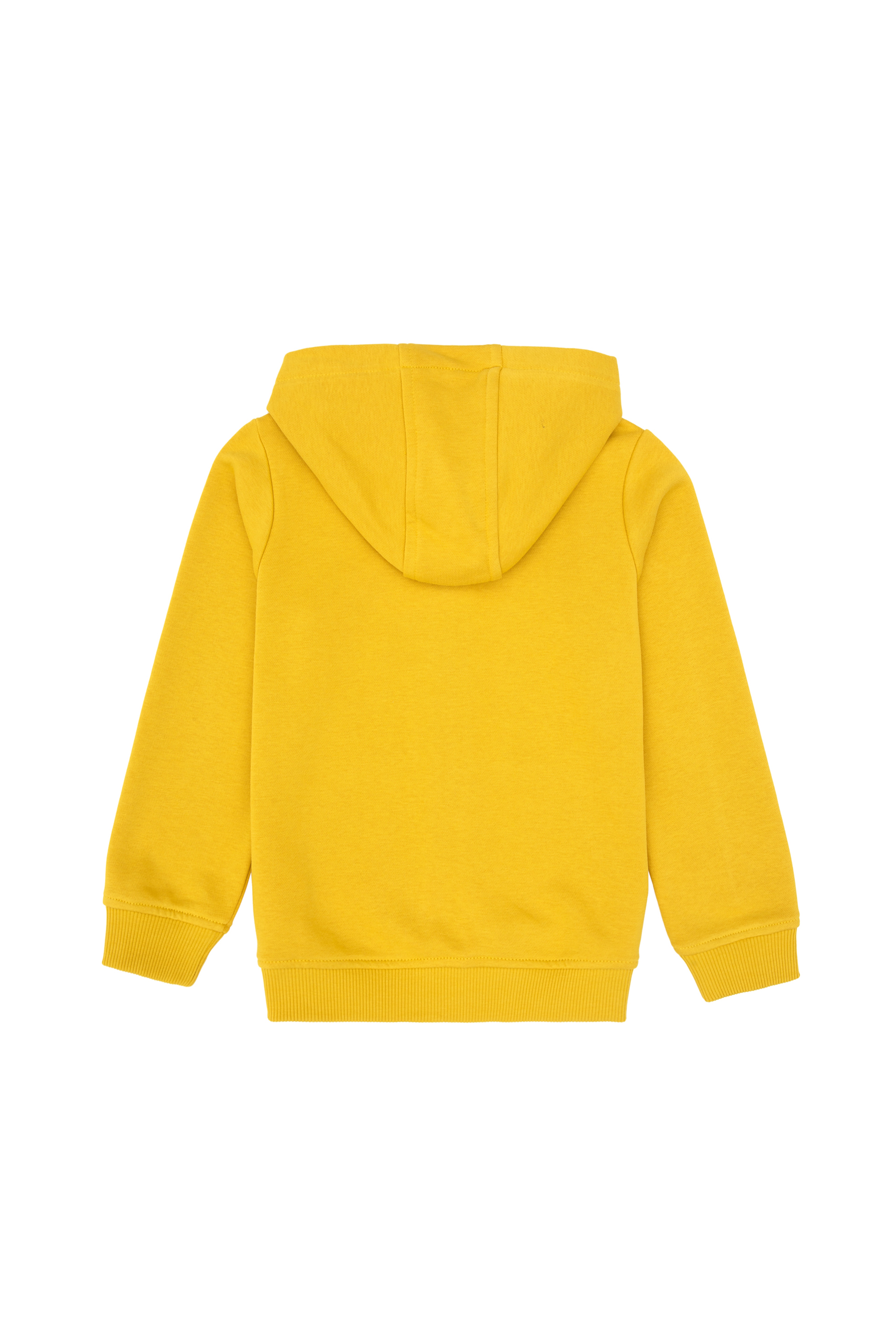 Erkek Çocuk Sarı Fermuarlı Kapüşonlu Sweatshirt - Image 4