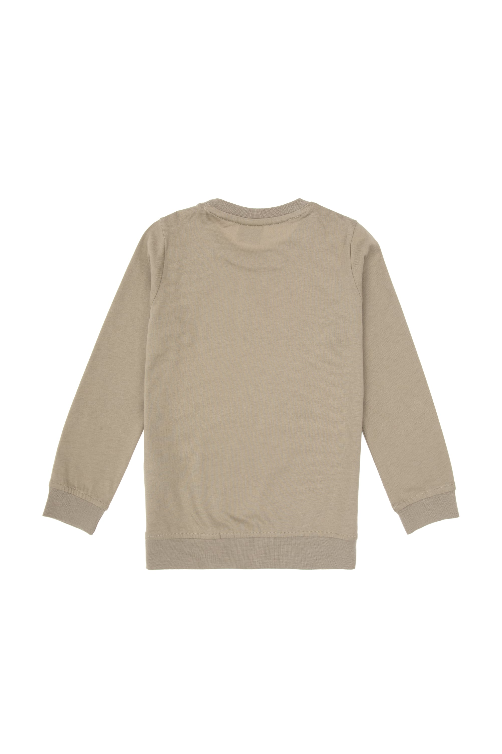 Erkek Çocuk Açık Haki Bisiklet Yaka Sweatshirt - Image 4