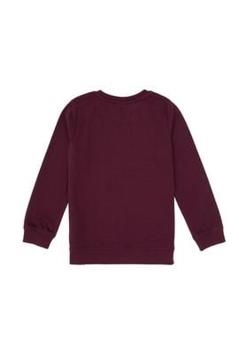 Erkek Çocuk Bordo Bisiklet Yaka Sweatshirt - 50314939047