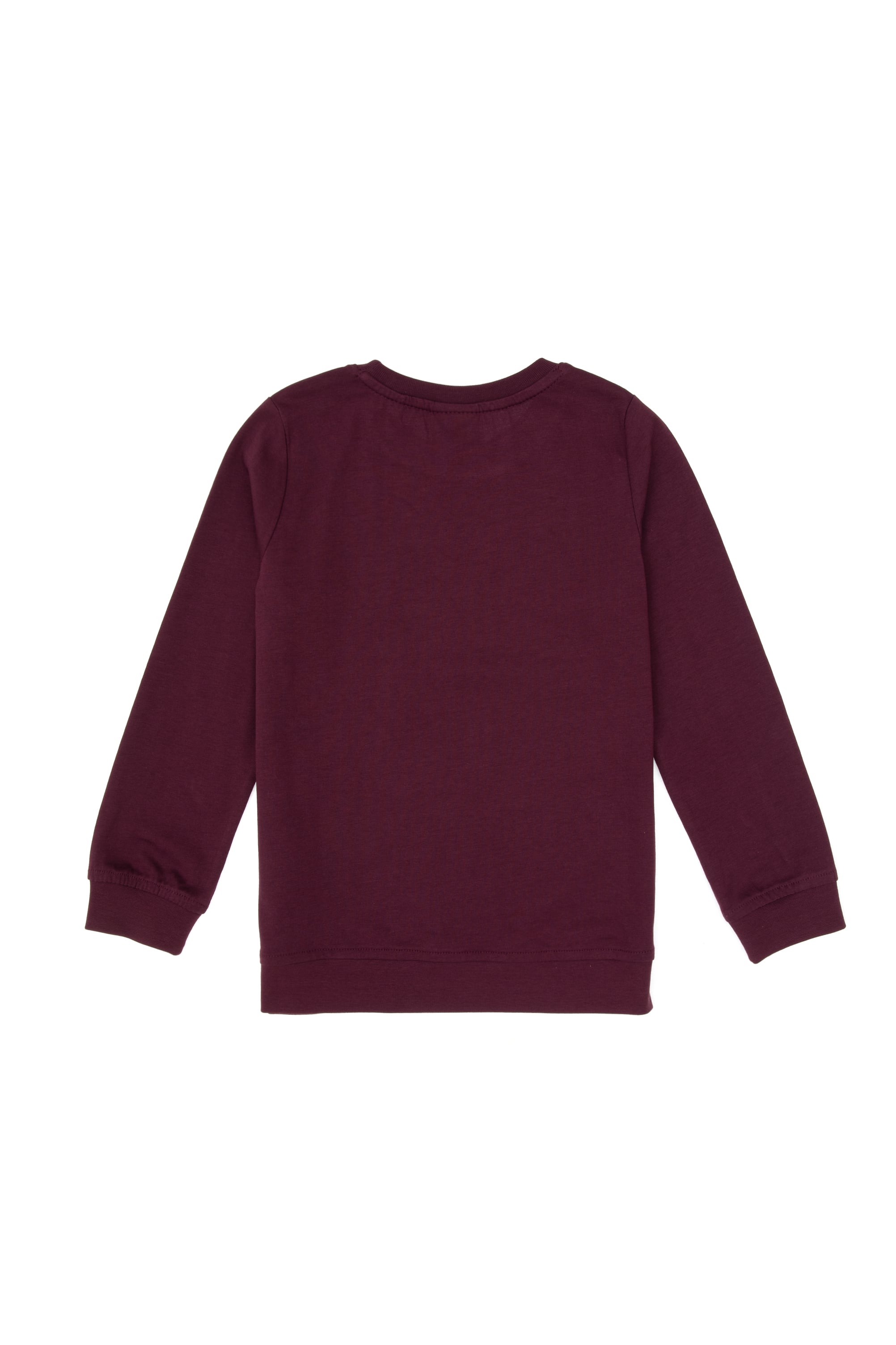 Erkek Çocuk Bordo Bisiklet Yaka Sweatshirt - Image 4