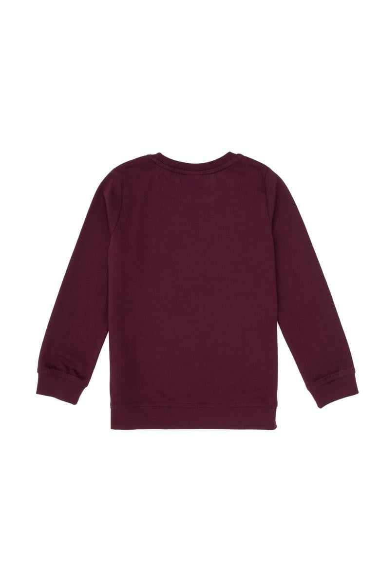 Erkek Çocuk Bordo Bisiklet Yaka Sweatshirt - 50314939047