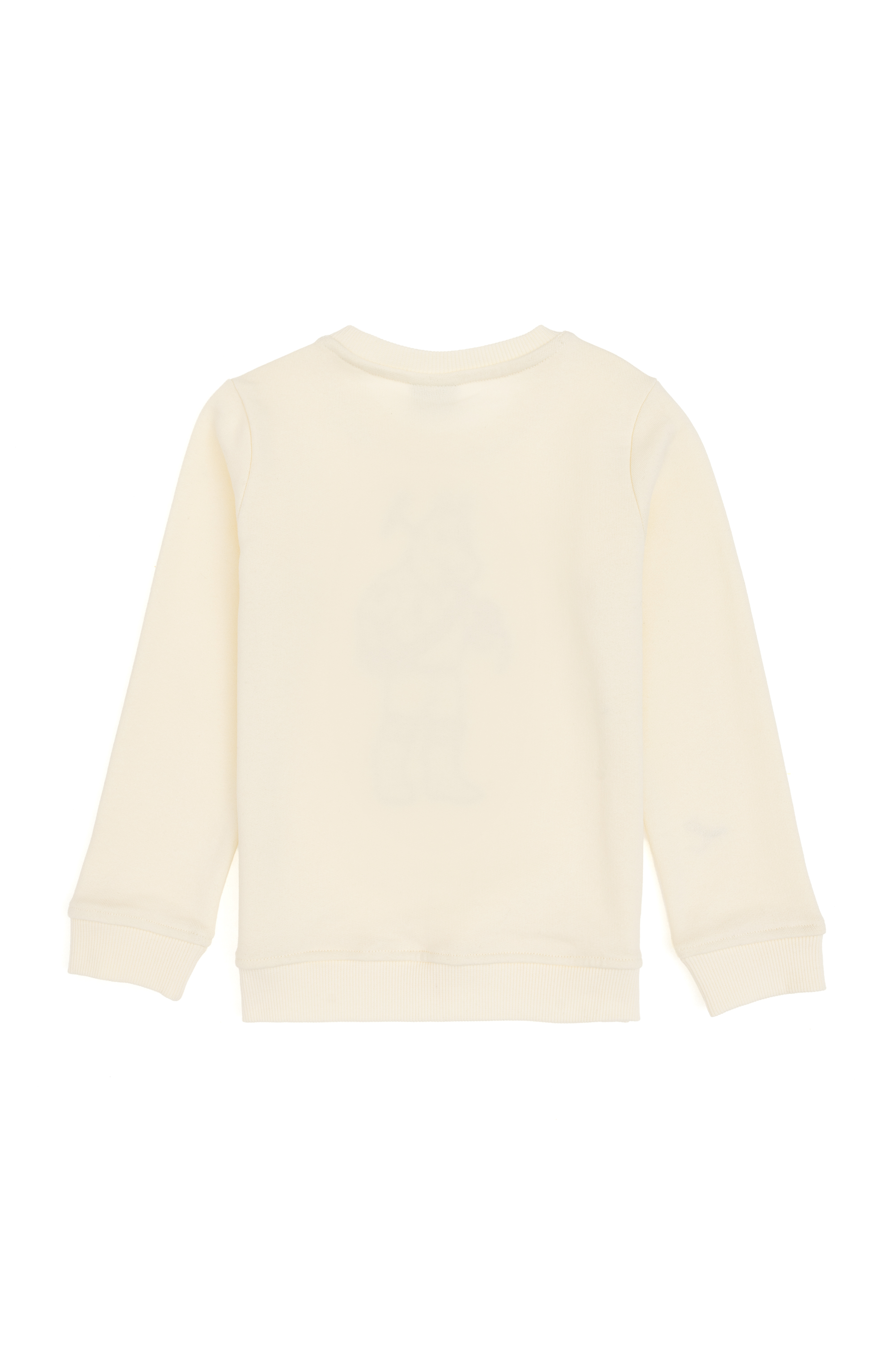 سویشرت یقه گرد کرم رگولار پسرانه یو اس پولو | U.S. Polo Assn. - تصویر 3