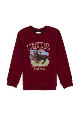 Erkek Çocuk Bordo Bisiklet Yaka İnce Bisiklet Yaka Sweatshirt - 50308560018