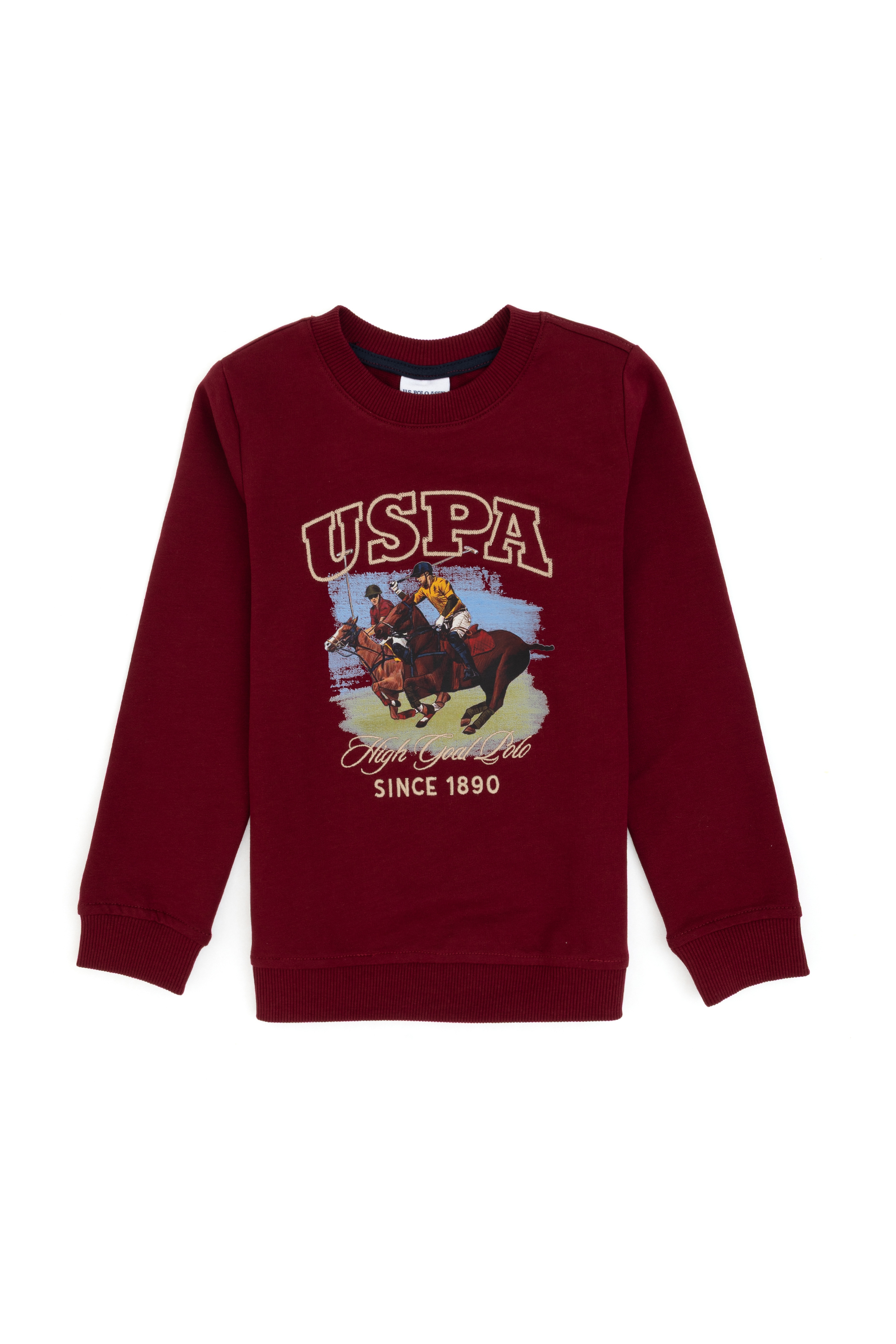 Erkek Çocuk Bordo Bisiklet Yaka İnce Bisiklet Yaka Sweatshirt - Image 1