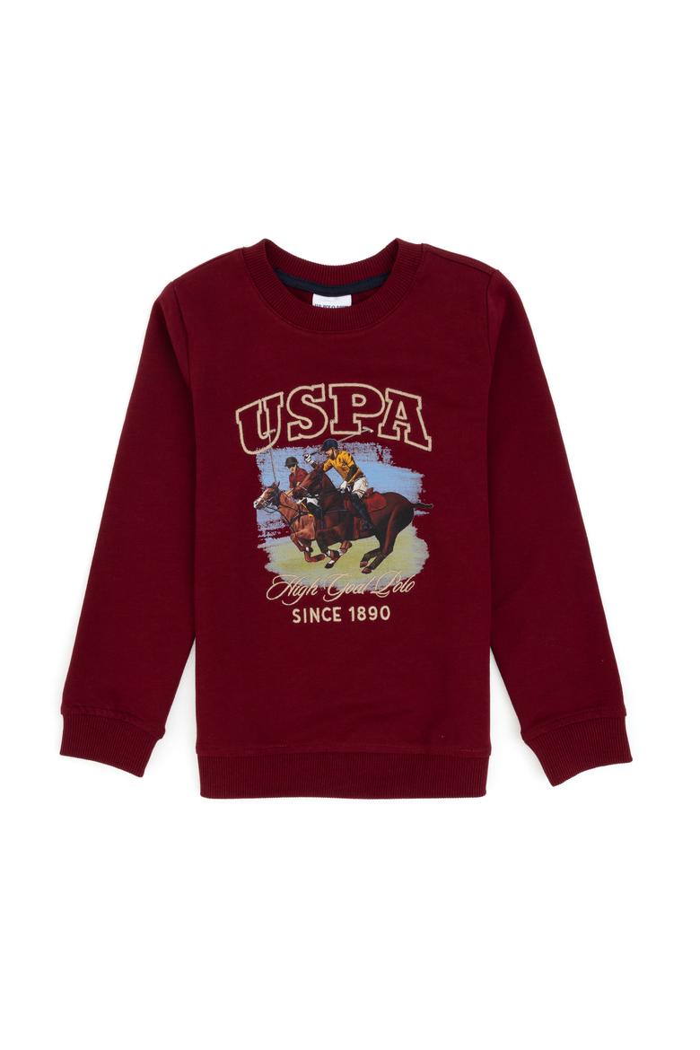 Erkek Çocuk Bordo Bisiklet Yaka İnce Bisiklet Yaka Sweatshirt