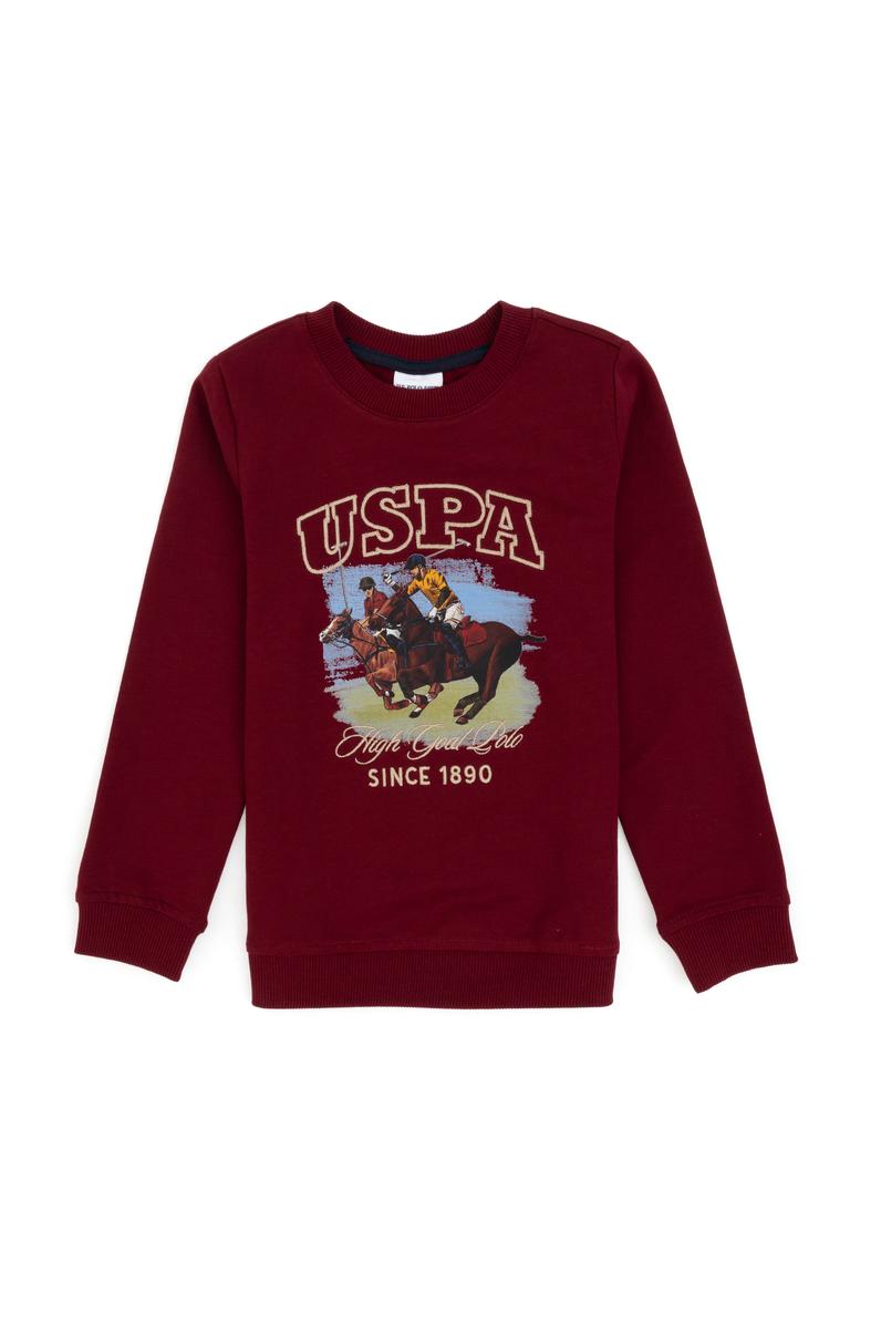 Erkek Çocuk Bordo Bisiklet Yaka İnce Bisiklet Yaka Sweatshirt