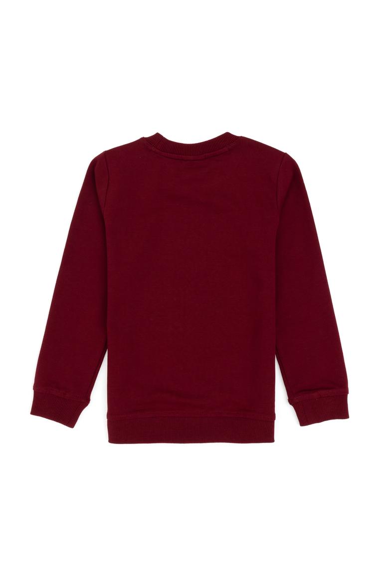Erkek Çocuk Bordo Bisiklet Yaka İnce Bisiklet Yaka Sweatshirt - 50308560018