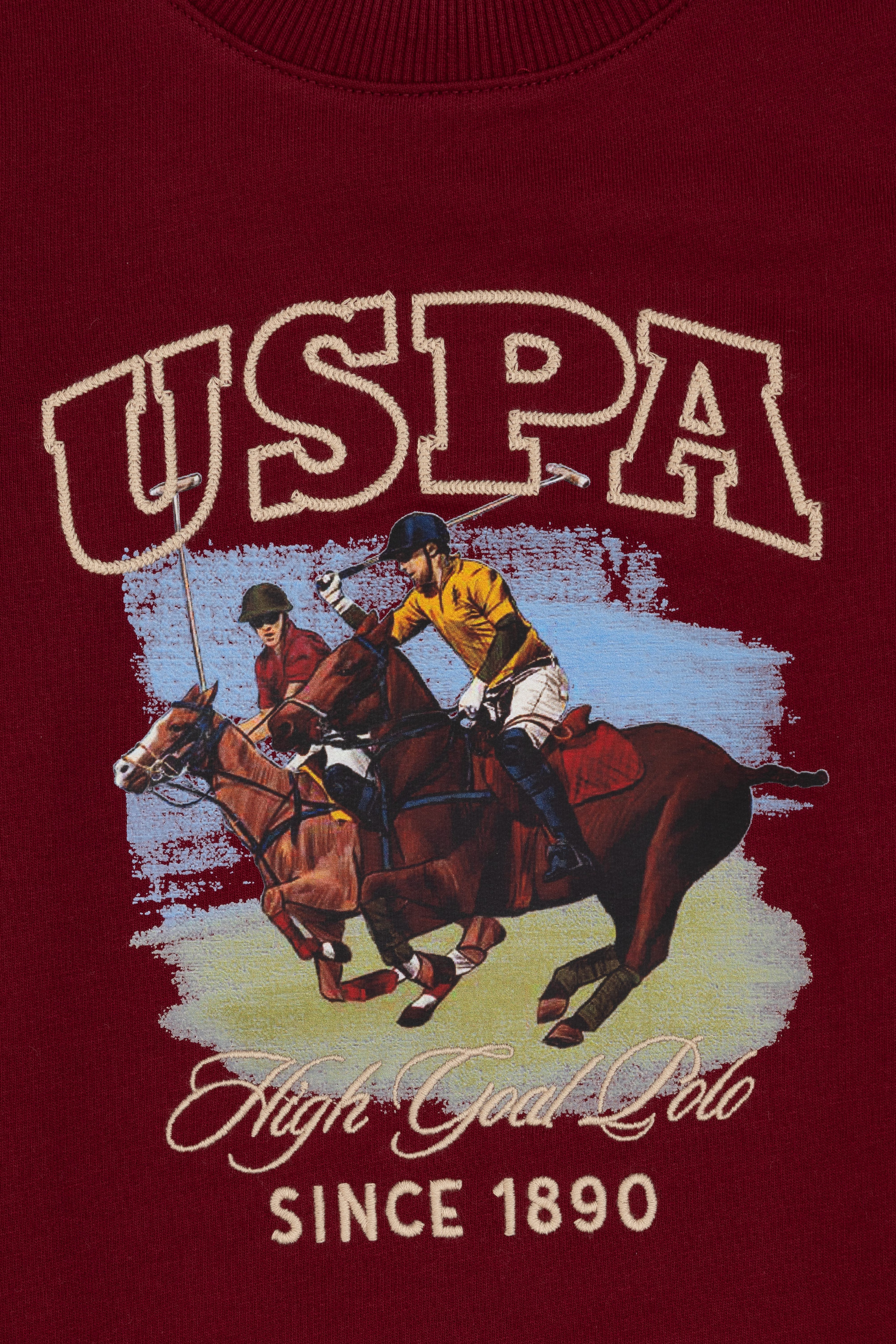 Erkek Çocuk Bordo Bisiklet Yaka İnce Bisiklet Yaka Sweatshirt - Image 3