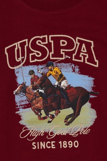 Erkek Çocuk Bordo Bisiklet Yaka İnce Bisiklet Yaka Sweatshirt