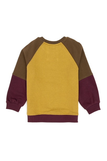 Erkek Çocuk Hardal Bisiklet Yaka Sweatshirt
