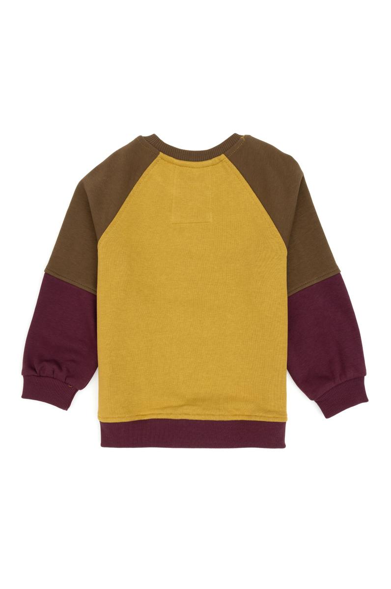 Erkek Çocuk Hardal Bisiklet Yaka Sweatshirt