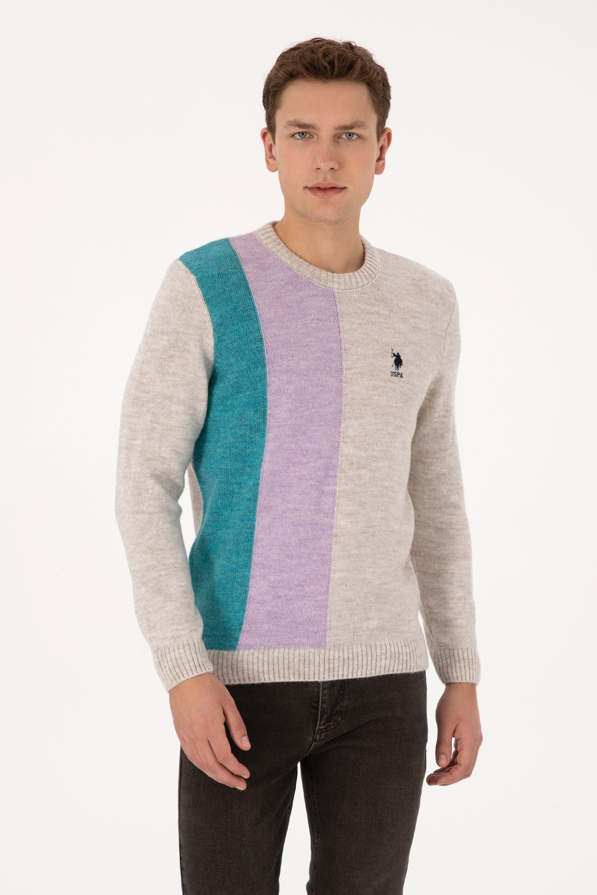 Erkek Regular Fit Bisiklet Yaka Taş Kazak