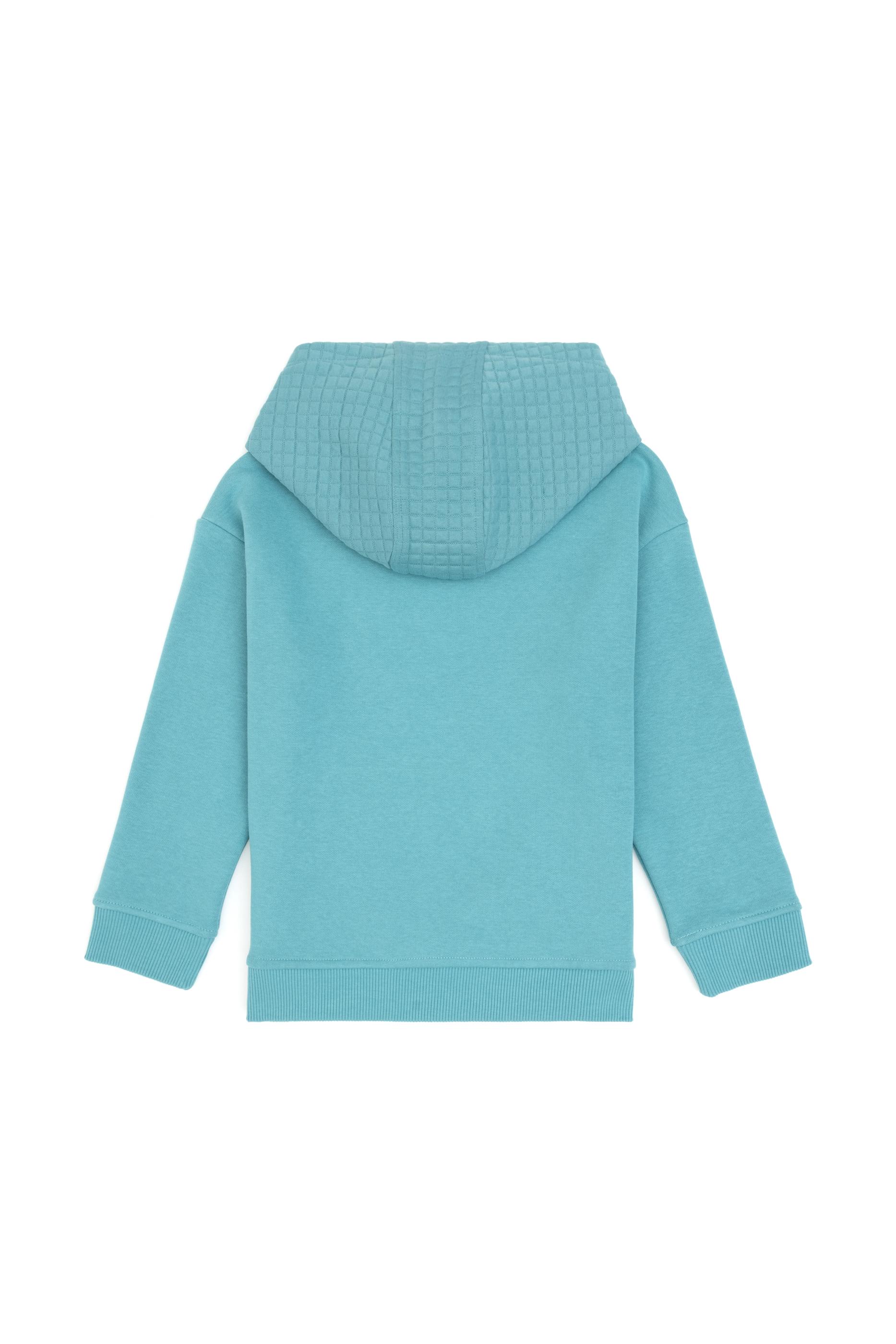 Erkek Çocuk Mint Kapüşonlu Şardonlu Sweatshirt