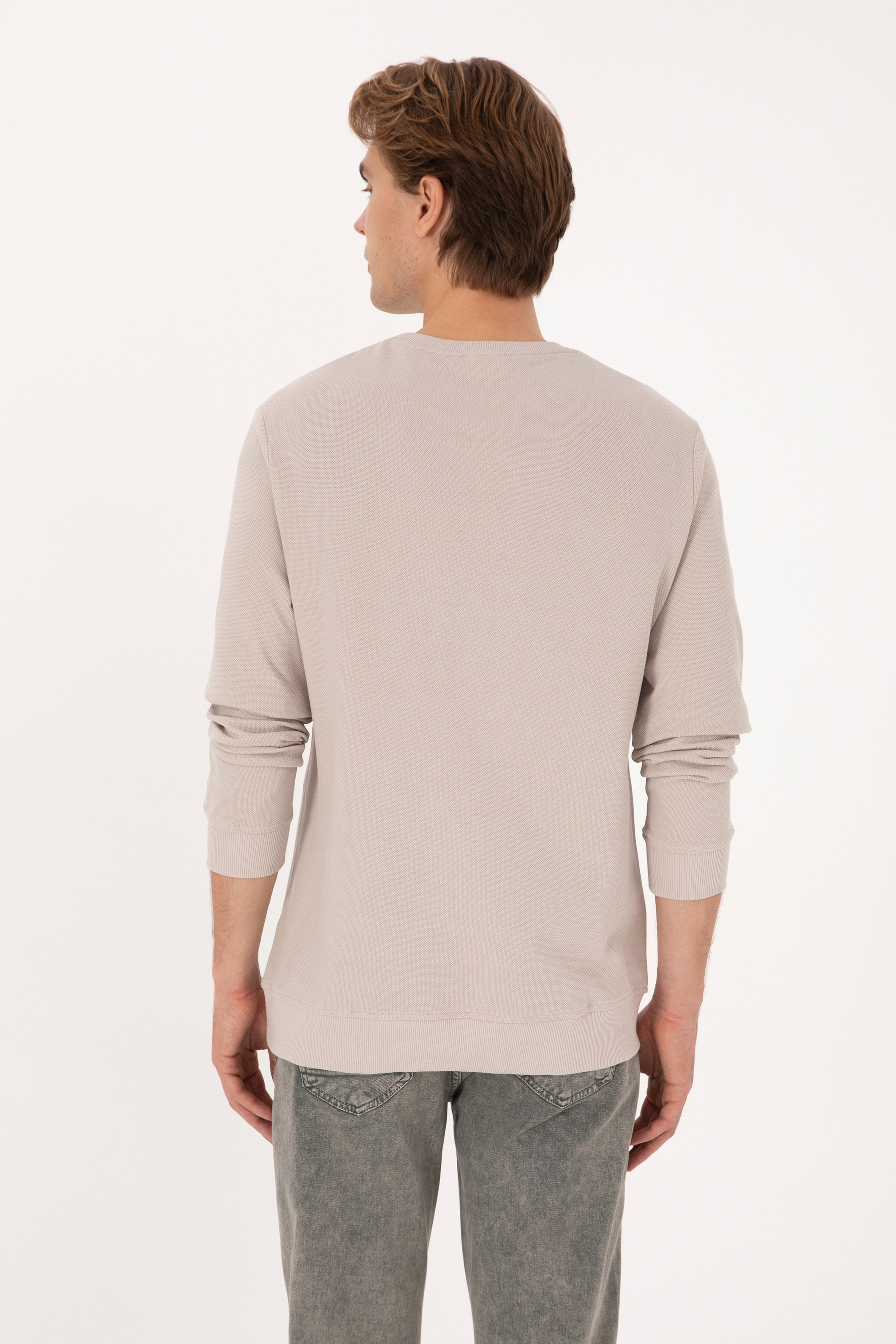 Erkek Regular Fit Bisiklet Yaka Taş Sweatshirt - Image 5