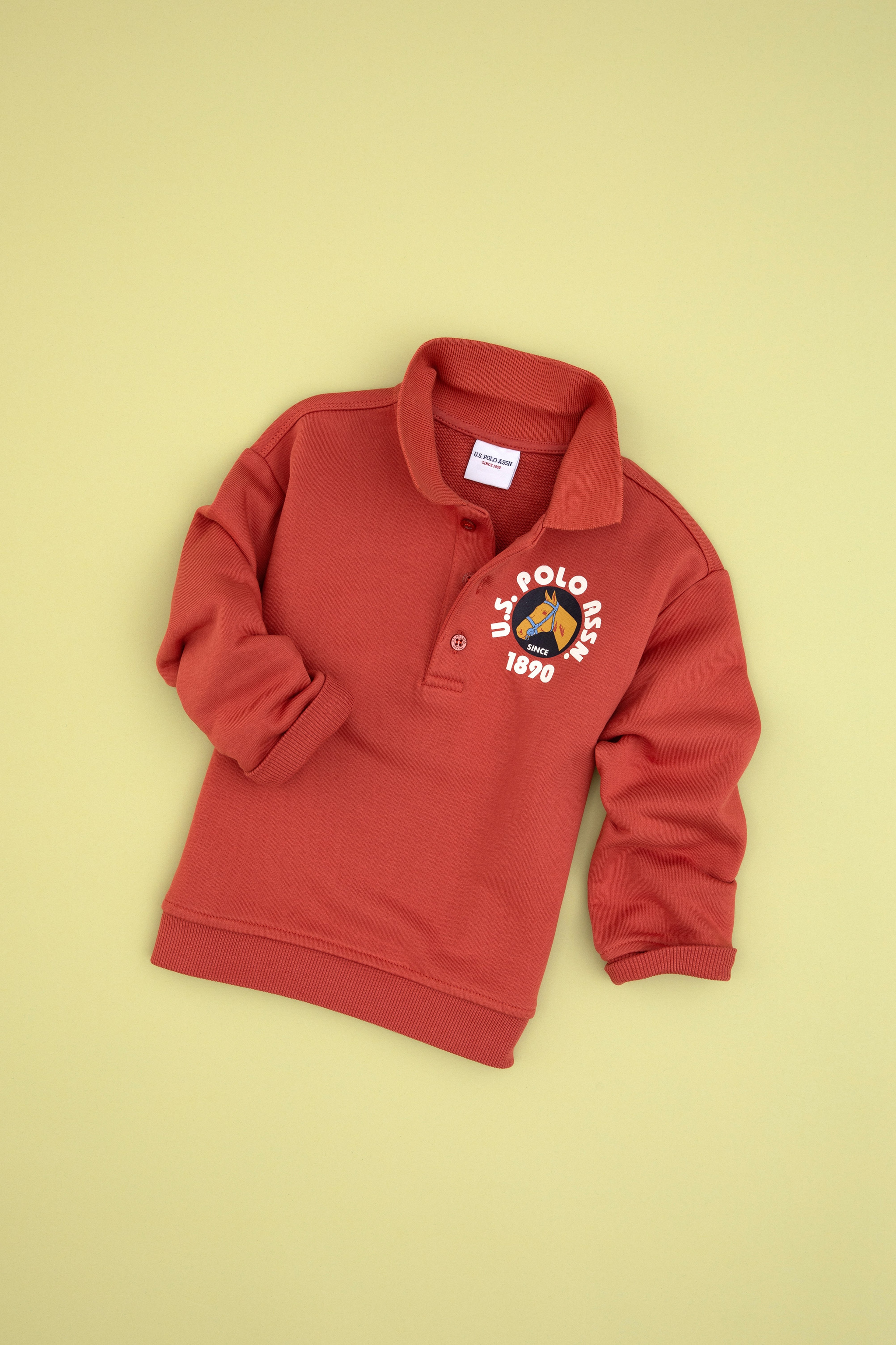 Erkek Çocuk Gül Kurusu Polo Yaka Sweatshirt - Image 1