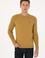 Erkek Regular Fit Bisiklet Yaka Hardal Kazak