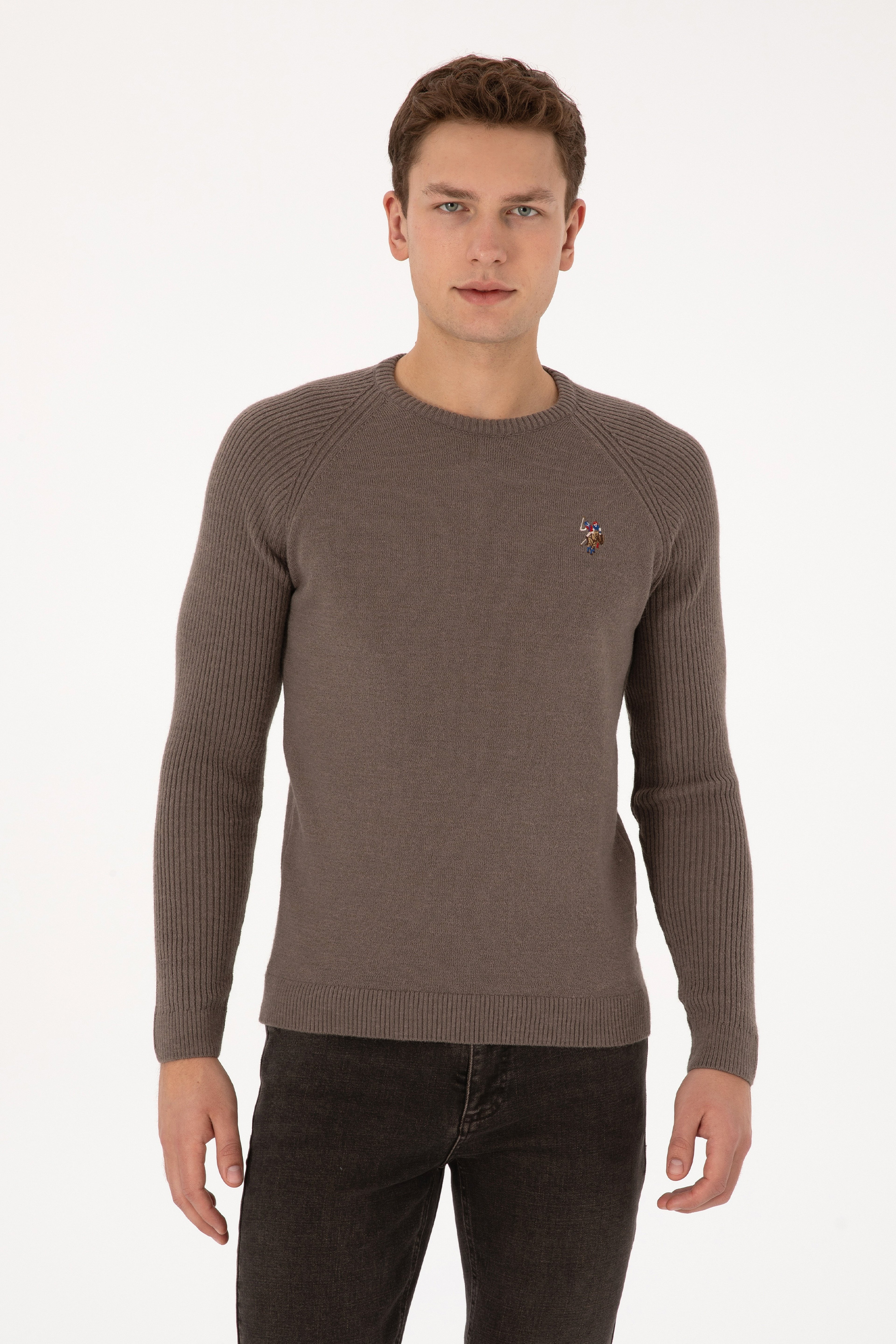 Erkek Regular Fit Bisiklet Yaka Vizon Kazak - Image 1