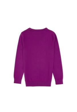 Kız Çocuk Menekşe Bisiklet Yaka Basic Kazak - 50316808013