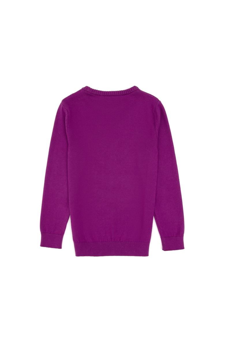 Kız Çocuk Menekşe Bisiklet Yaka Basic Kazak - 50316808013