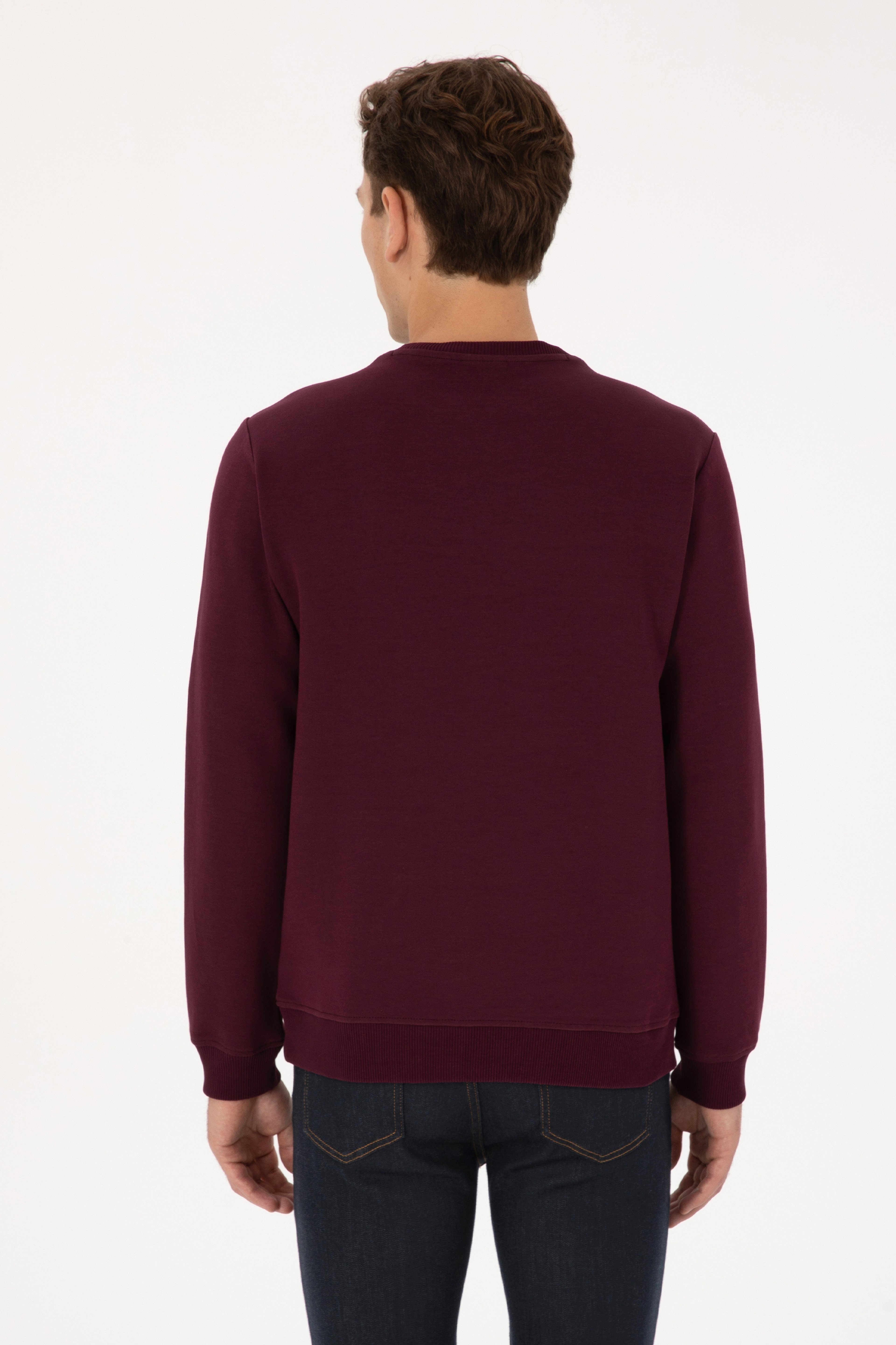 Erkek Regular Fit Bisiklet Yaka Bordo Sweatshirt - Image 5