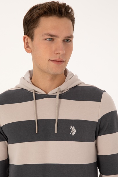 Erkek Regular Fit Kapüşonlu Gri Sweatshirt