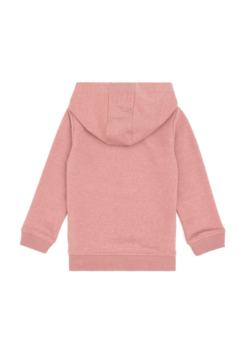 Erkek Çocuk Orkide Basic Kapüşonlu Sweatshirt - 50314005147