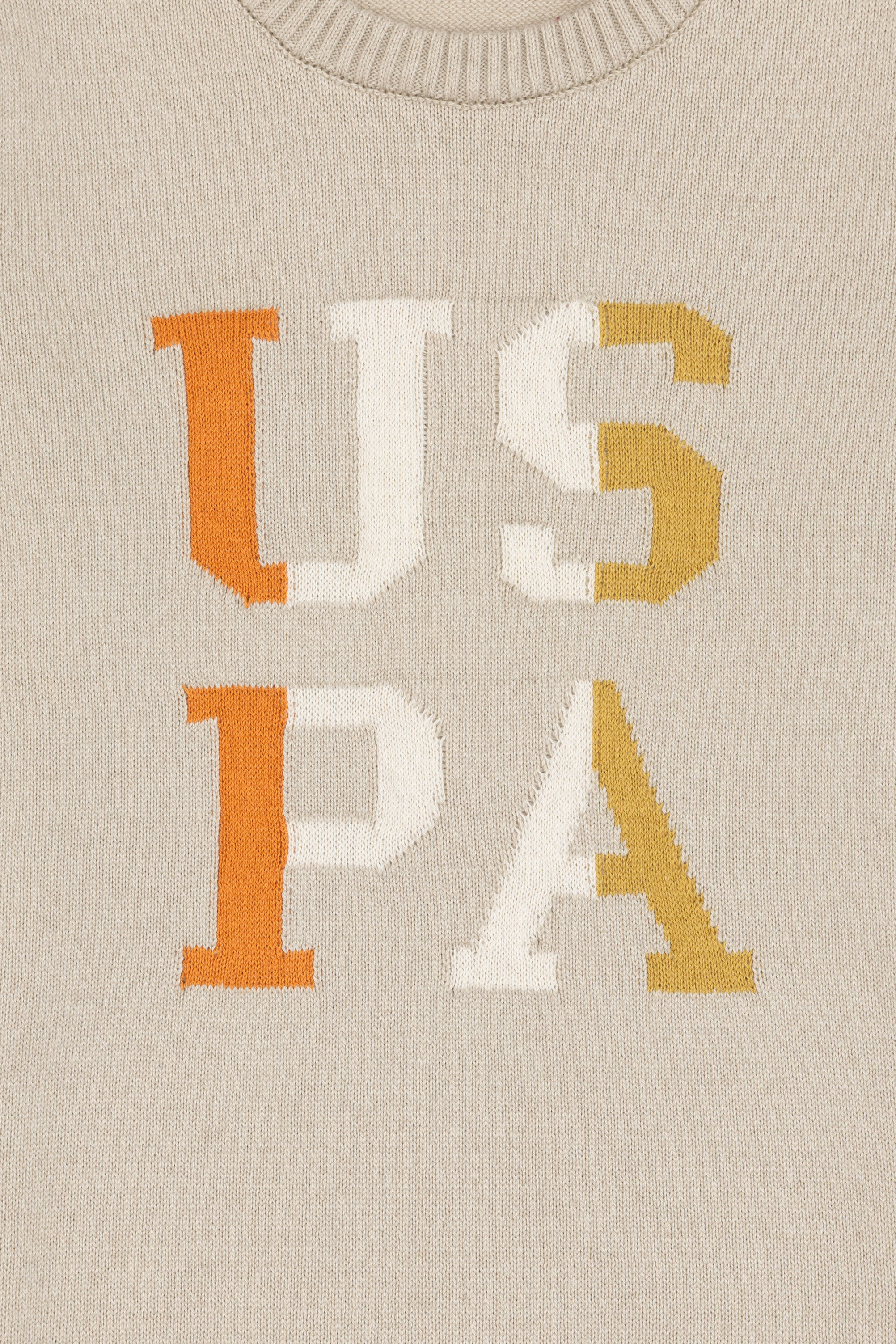 پلیور یقه گرد سنگ اندامی پسرانه یو اس پولو | U.S. Polo Assn. - تصویر 4