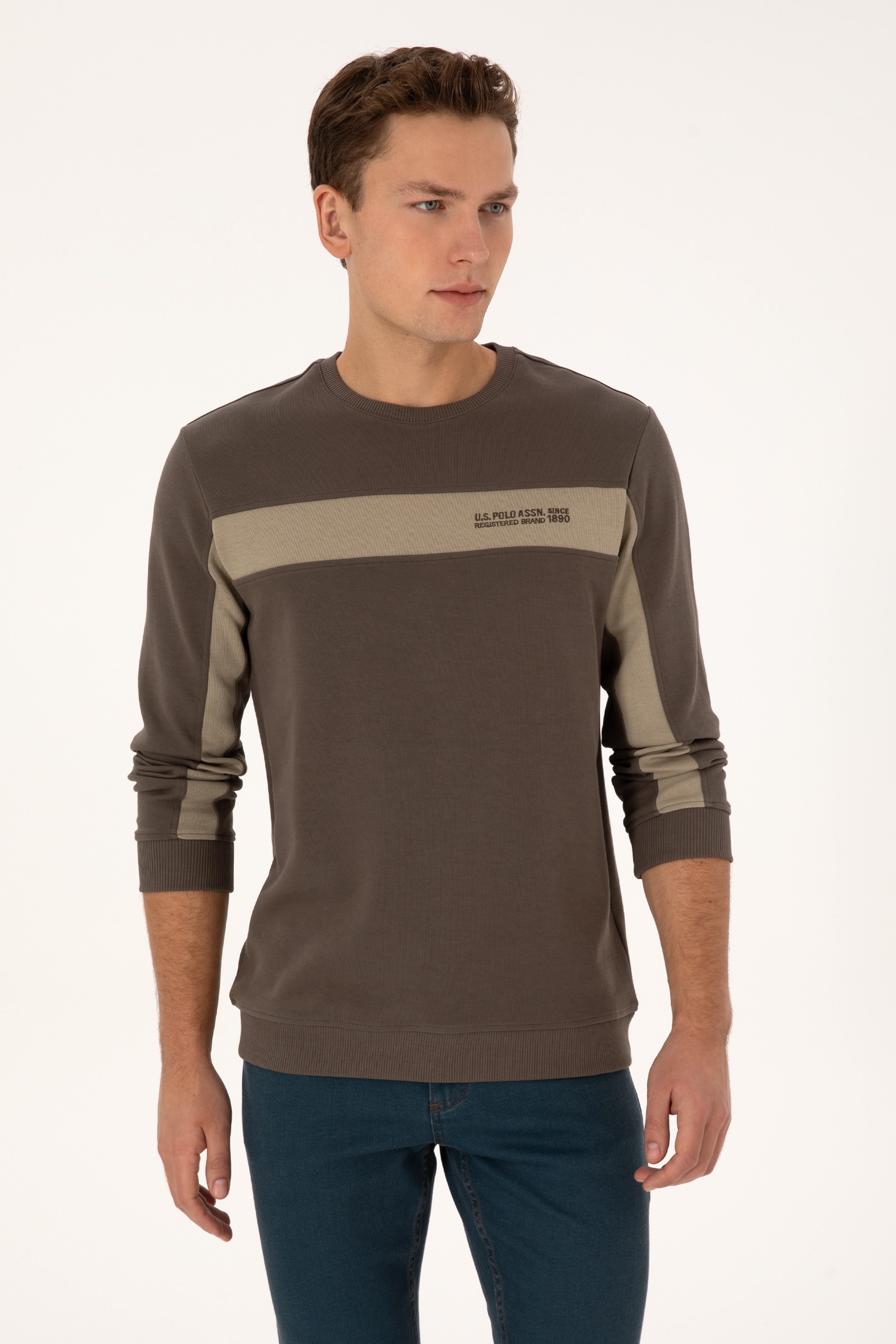 Erkek Regular Fit Bisiklet Yaka Vizon Sweatshirt