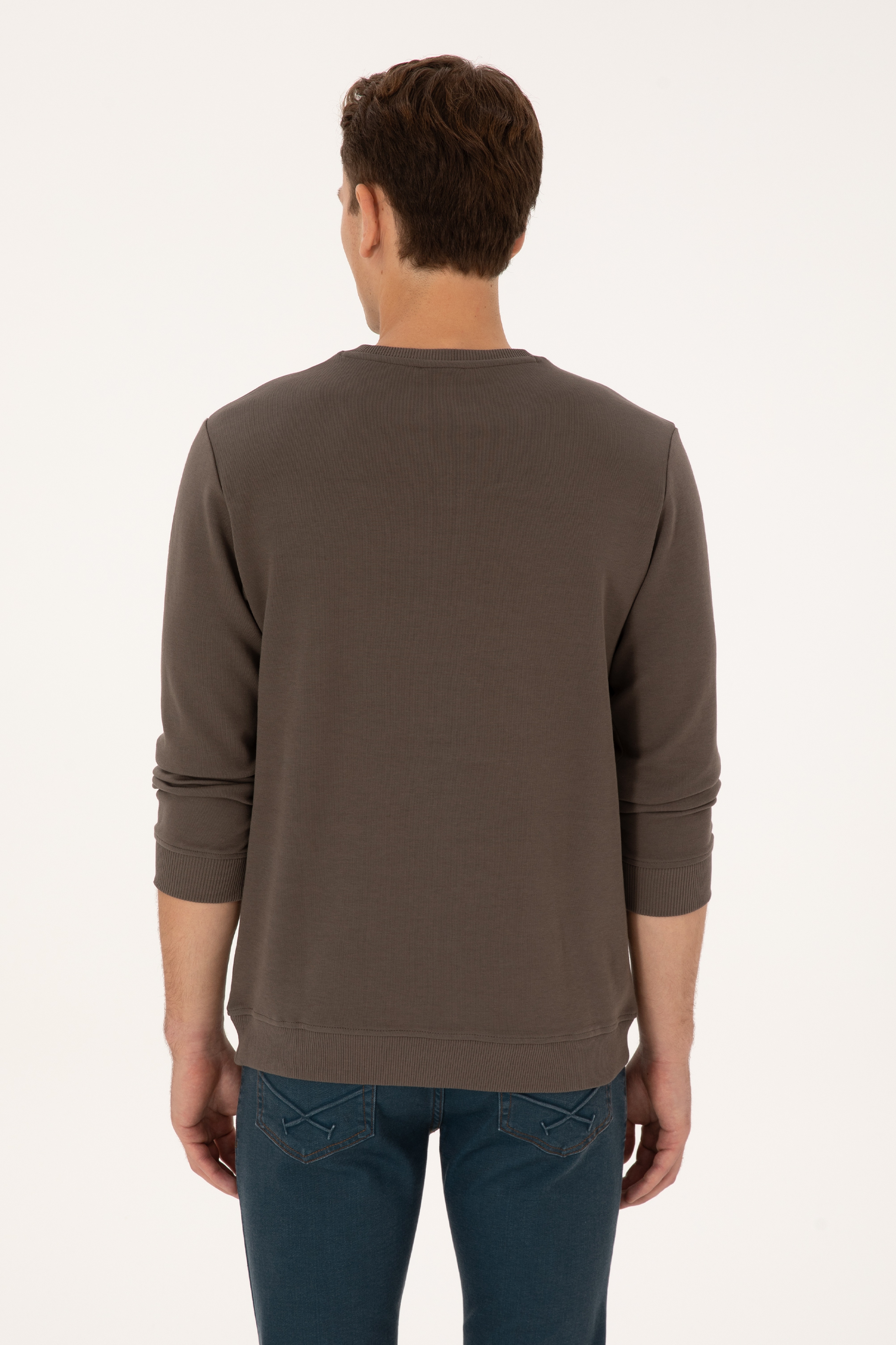 Erkek Regular Fit Bisiklet Yaka Vizon Sweatshirt - Image 5