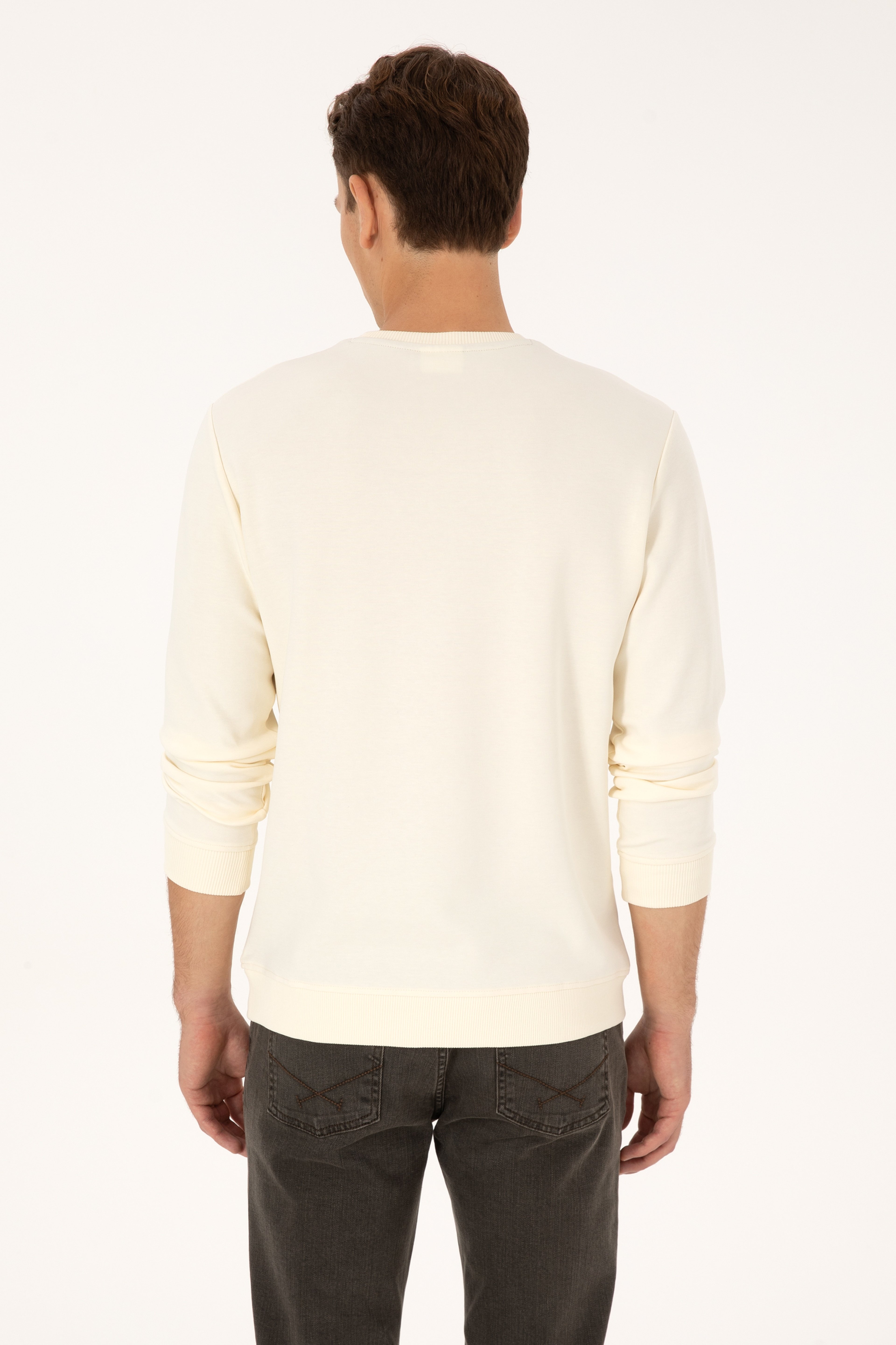 Erkek Regular Fit Bisiklet Yaka Krem Sweatshirt - Image 5