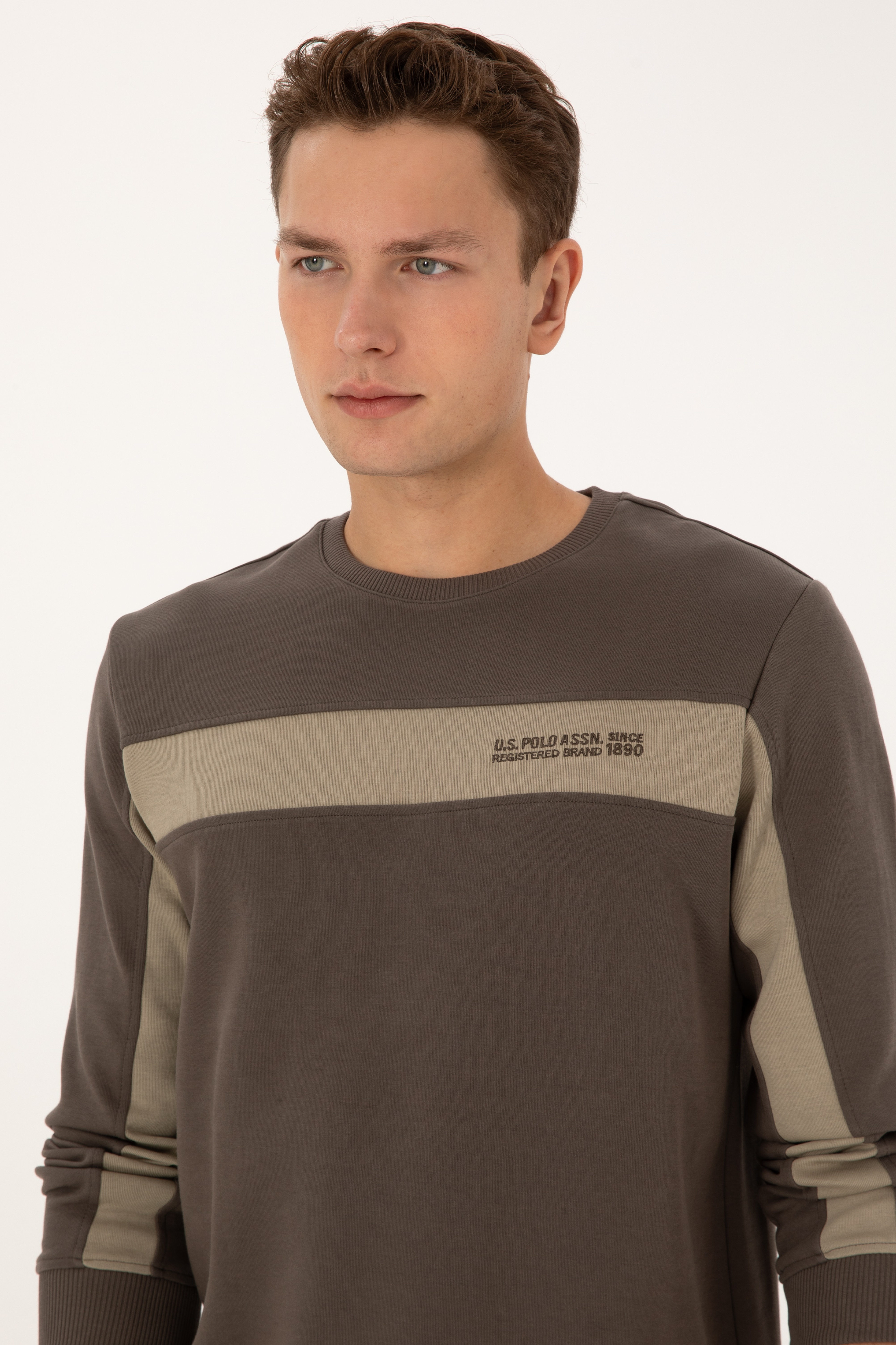 Erkek Regular Fit Bisiklet Yaka Vizon Sweatshirt - Image 2