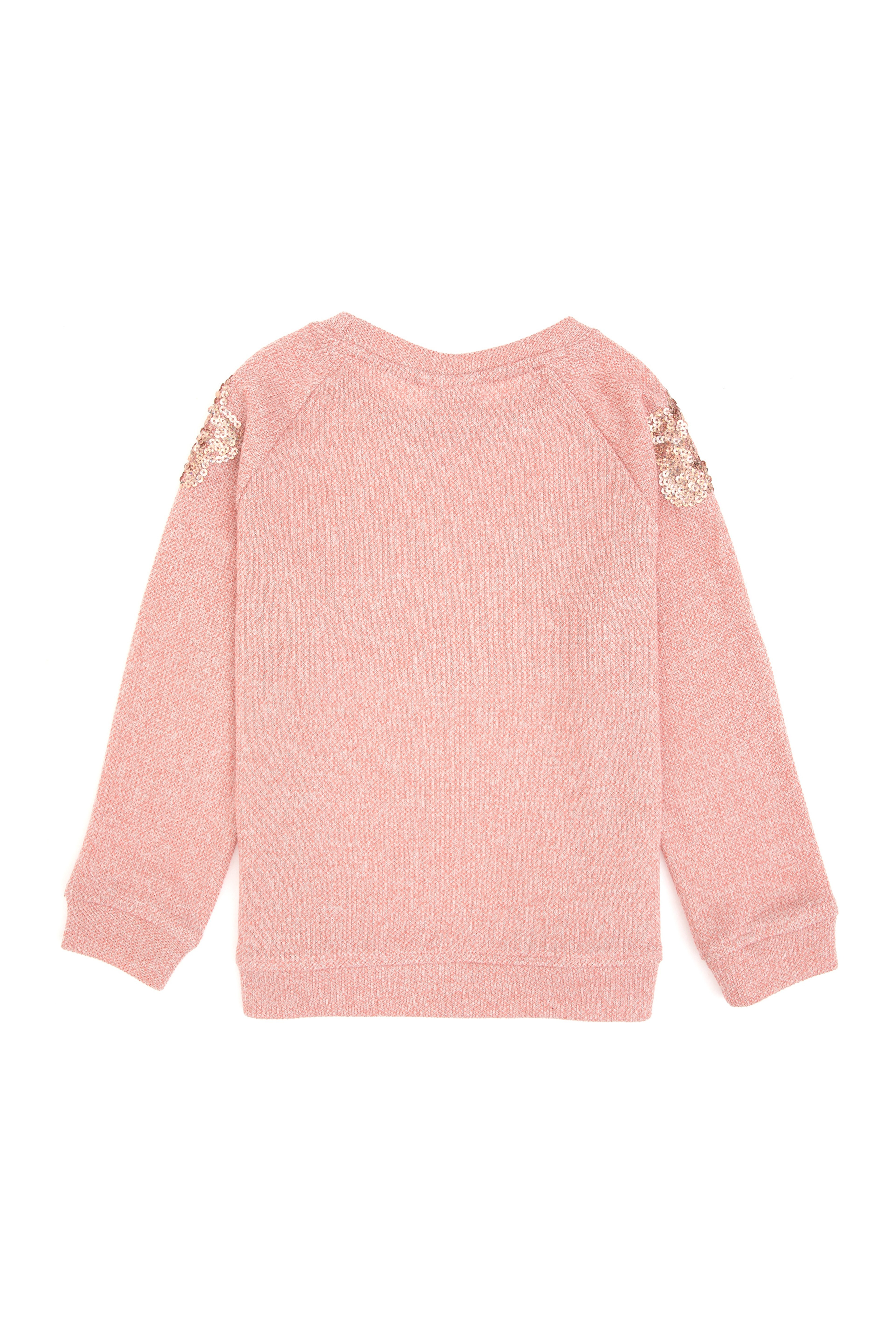 Kız Çocuk Açık Pembe Bisiklet Yaka Sweatshirt - Image 5