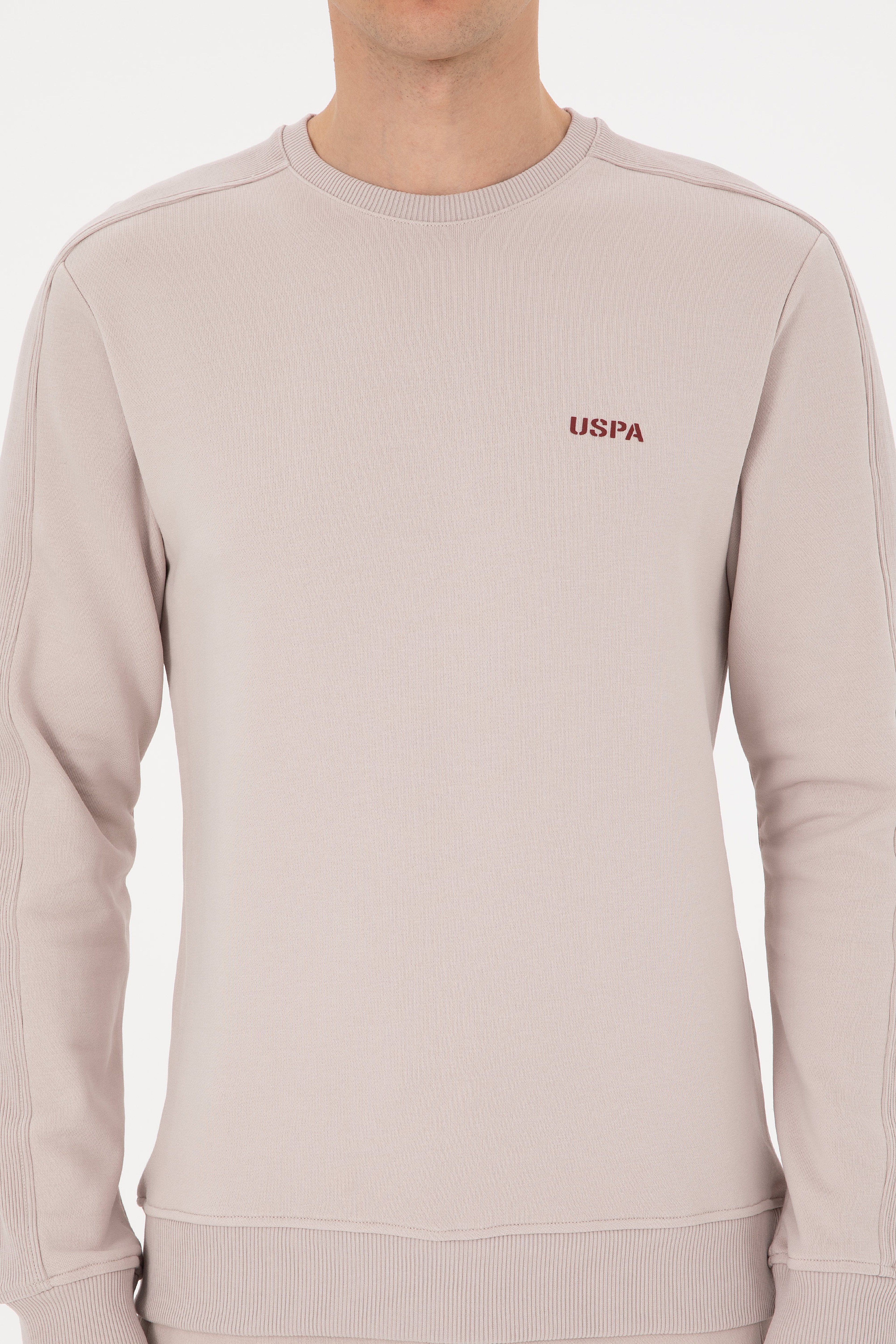 Erkek Regular Fit Bisiklet Yaka Taş Sweatshirt