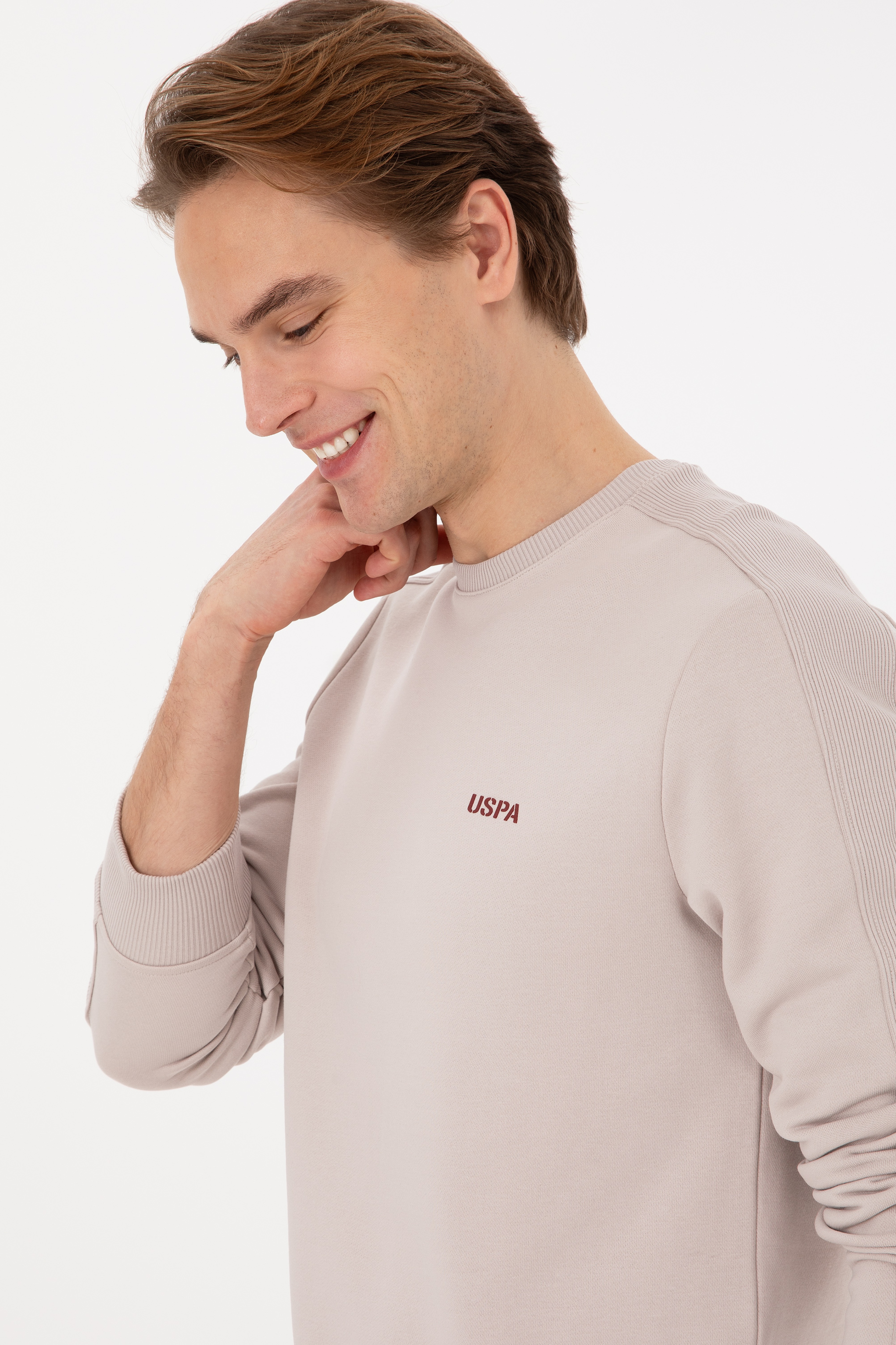 Erkek Regular Fit Bisiklet Yaka Taş Sweatshirt - Image 2
