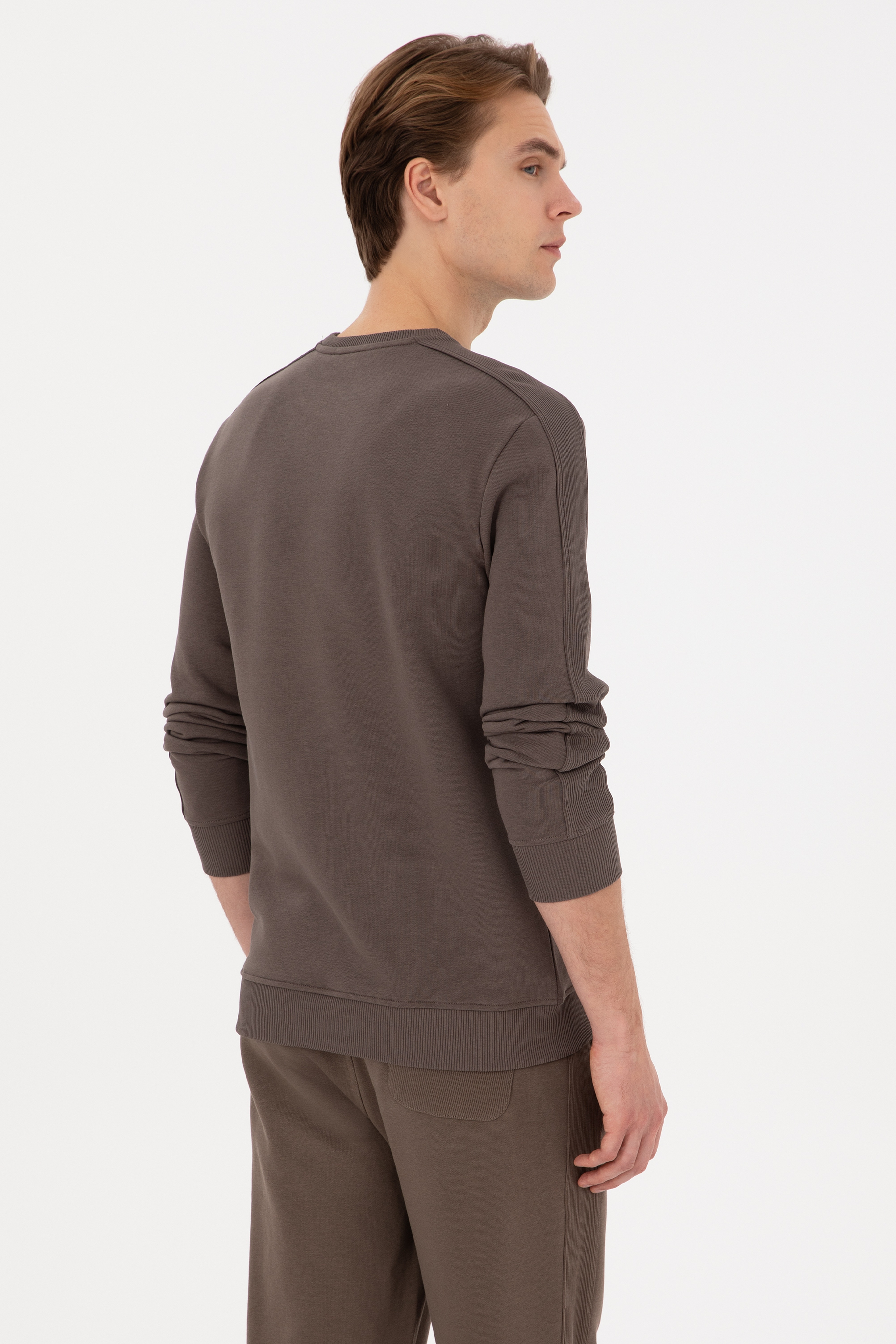 Erkek Regular Fit Bisiklet Yaka Vizon Sweatshirt - Image 5