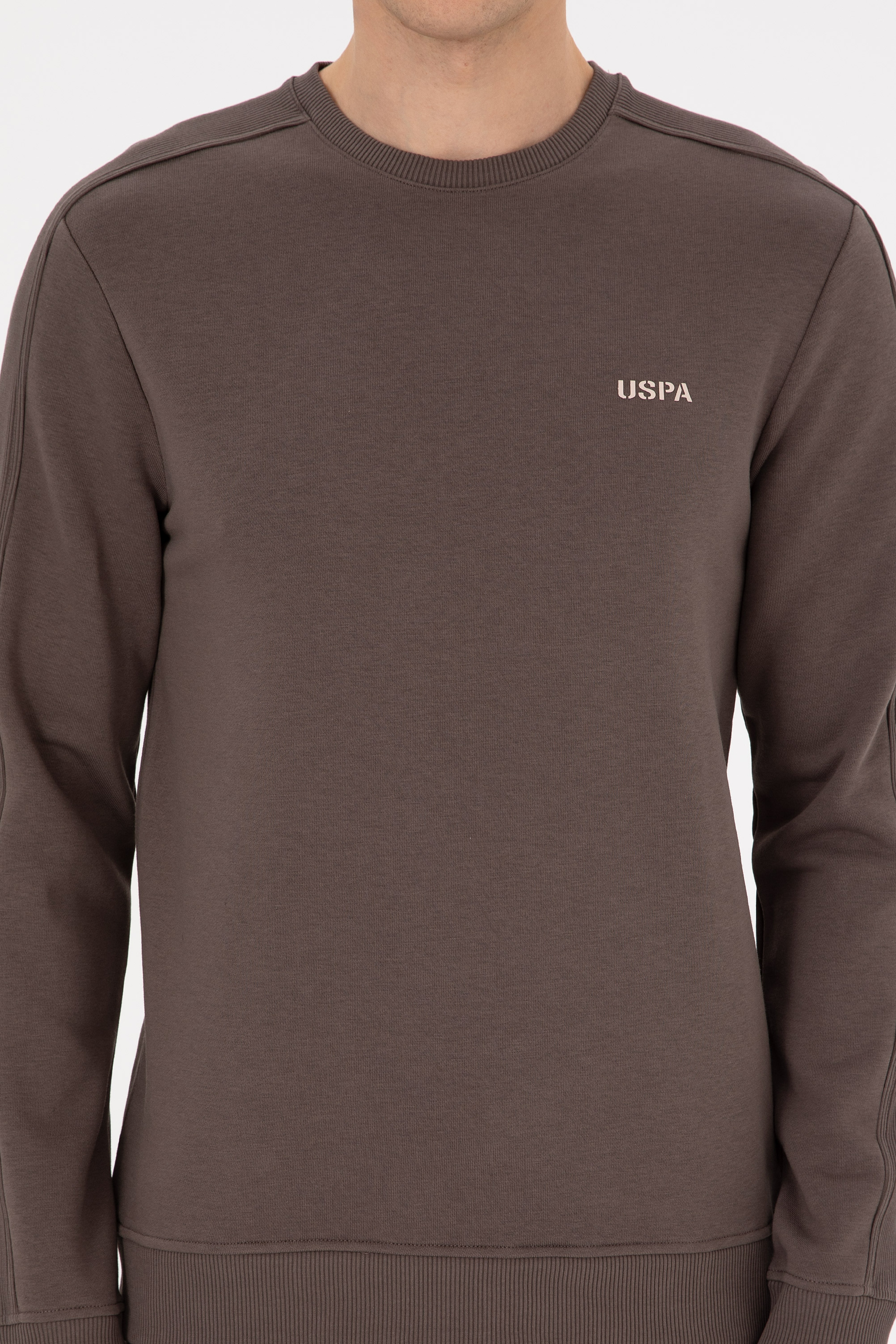 Erkek Regular Fit Bisiklet Yaka Vizon Sweatshirt - Image 6