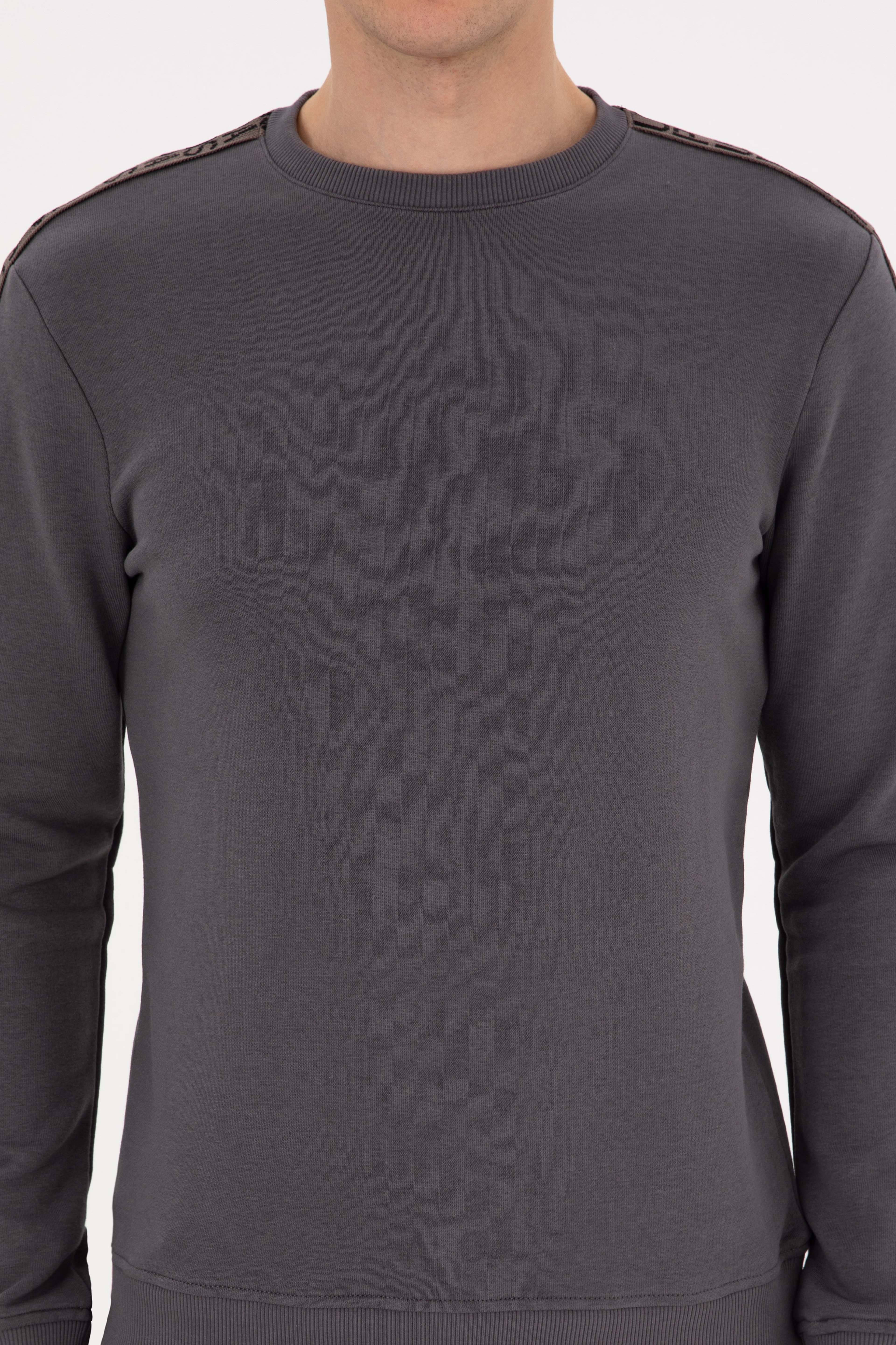 Erkek Regular Fit Bisiklet Yaka Gri Sweatshirt