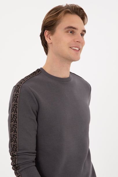 Erkek Regular Fit Bisiklet Yaka Gri Sweatshirt