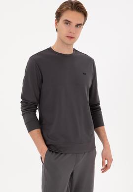 Erkek Regular Fit Bisiklet Yaka Gri Sweatshirt - 50315483056